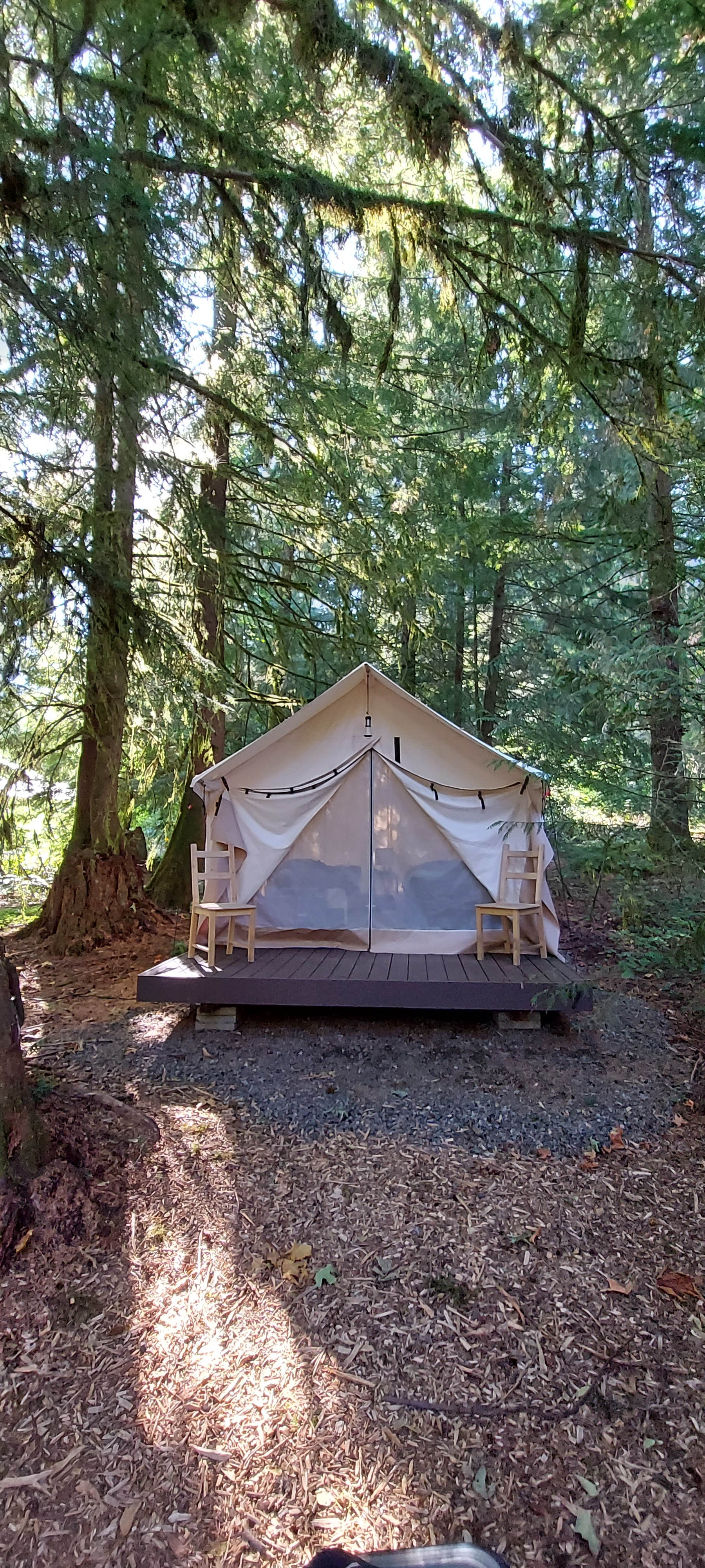 Action Sports Roamer Sites-Mt. Hood