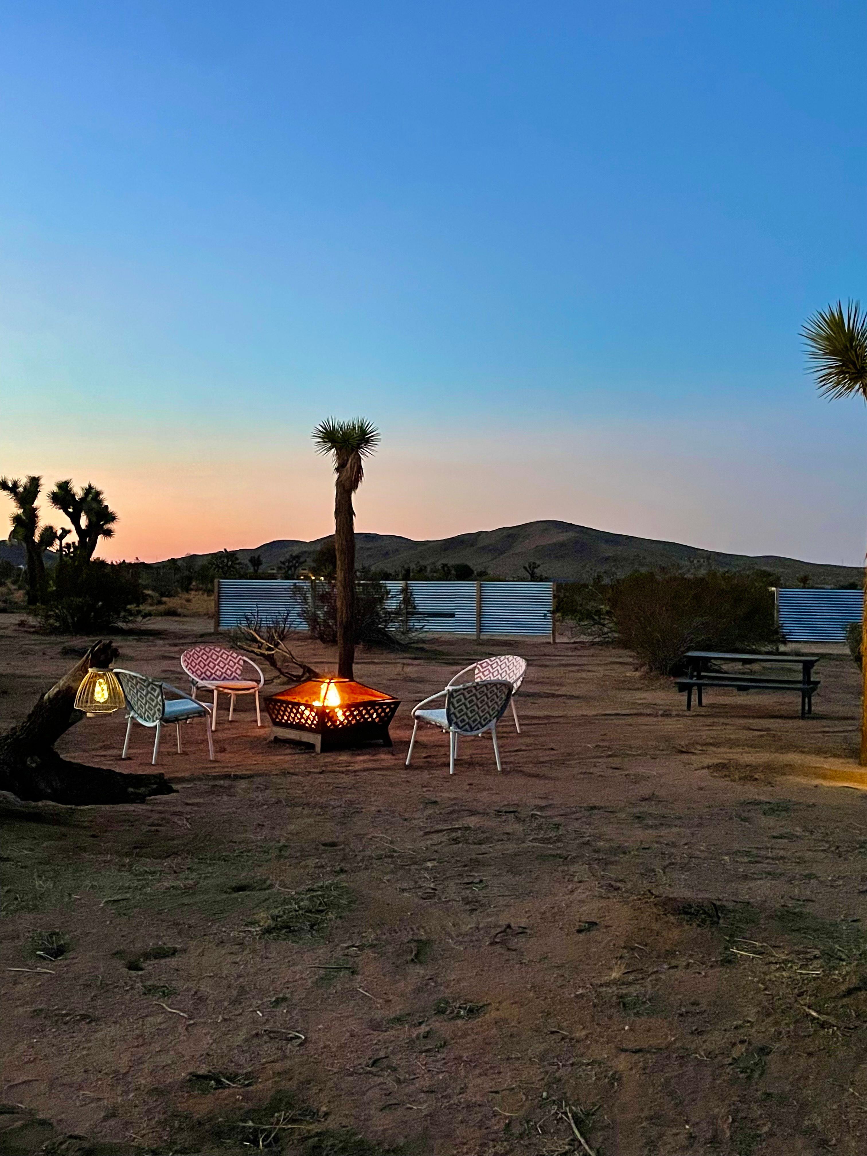 Sunny Vista near Joshua Tree
