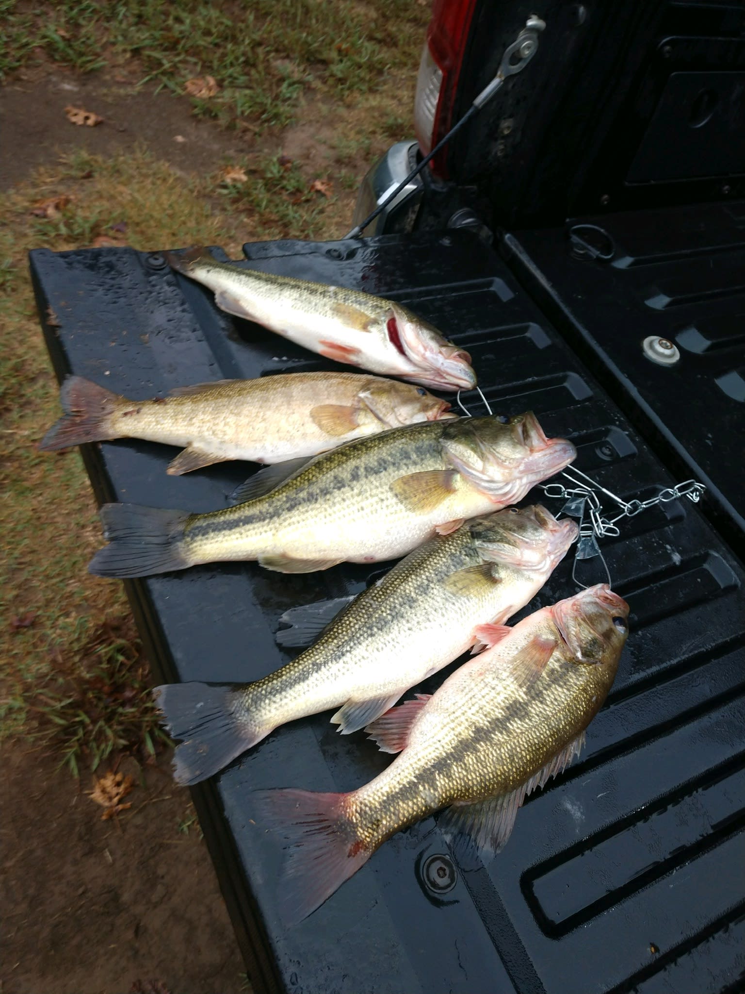 Yearling Ridge Riverfront Camp