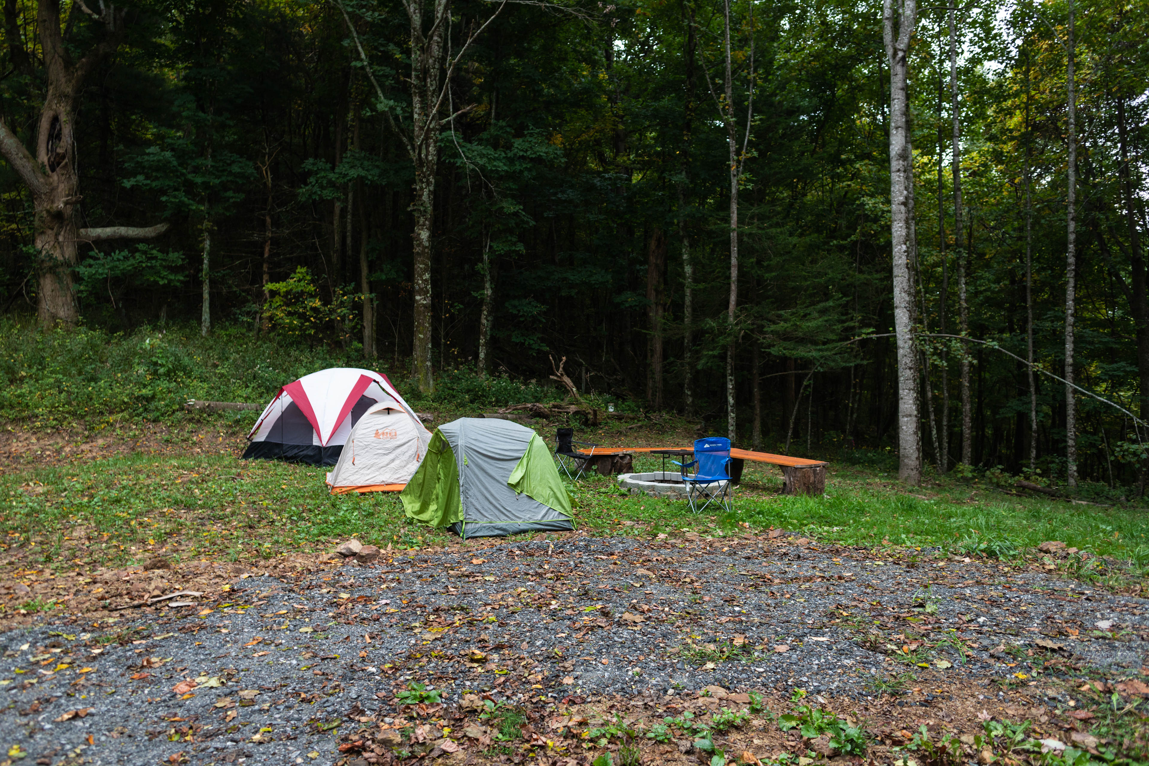 The campsite area has plenty of room for several tents.