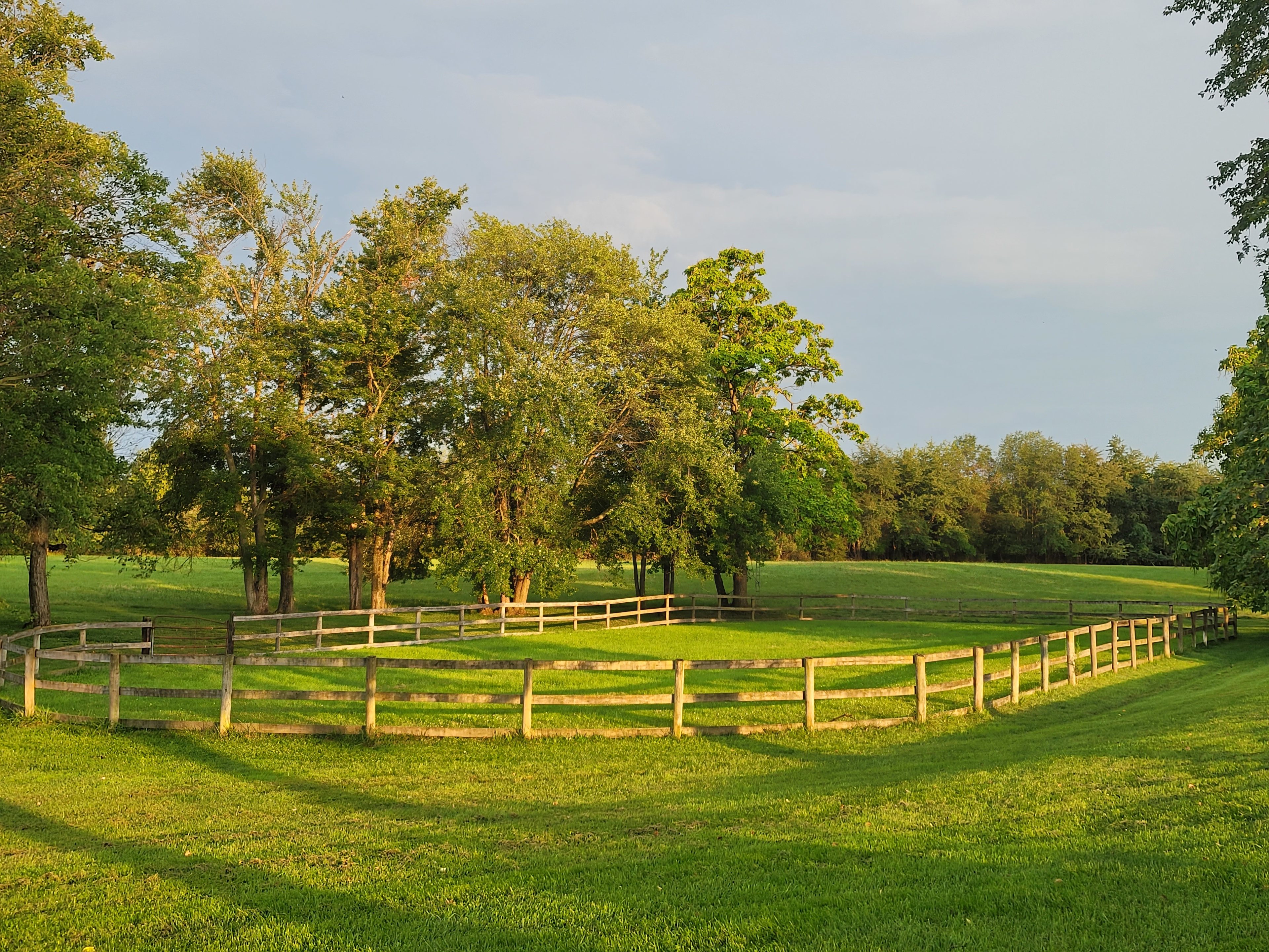 Old Soul Farm