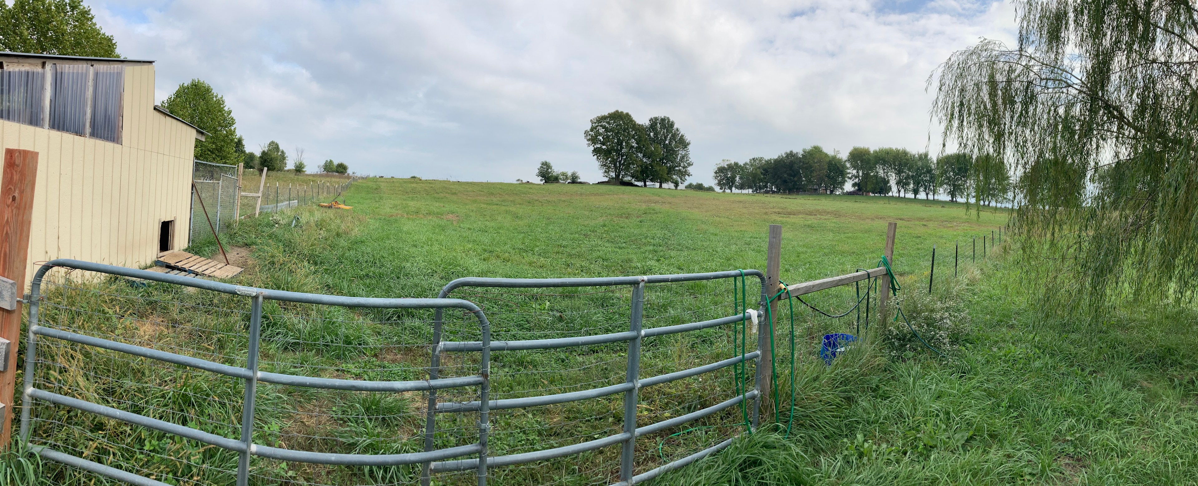 Gated entrance to pasture