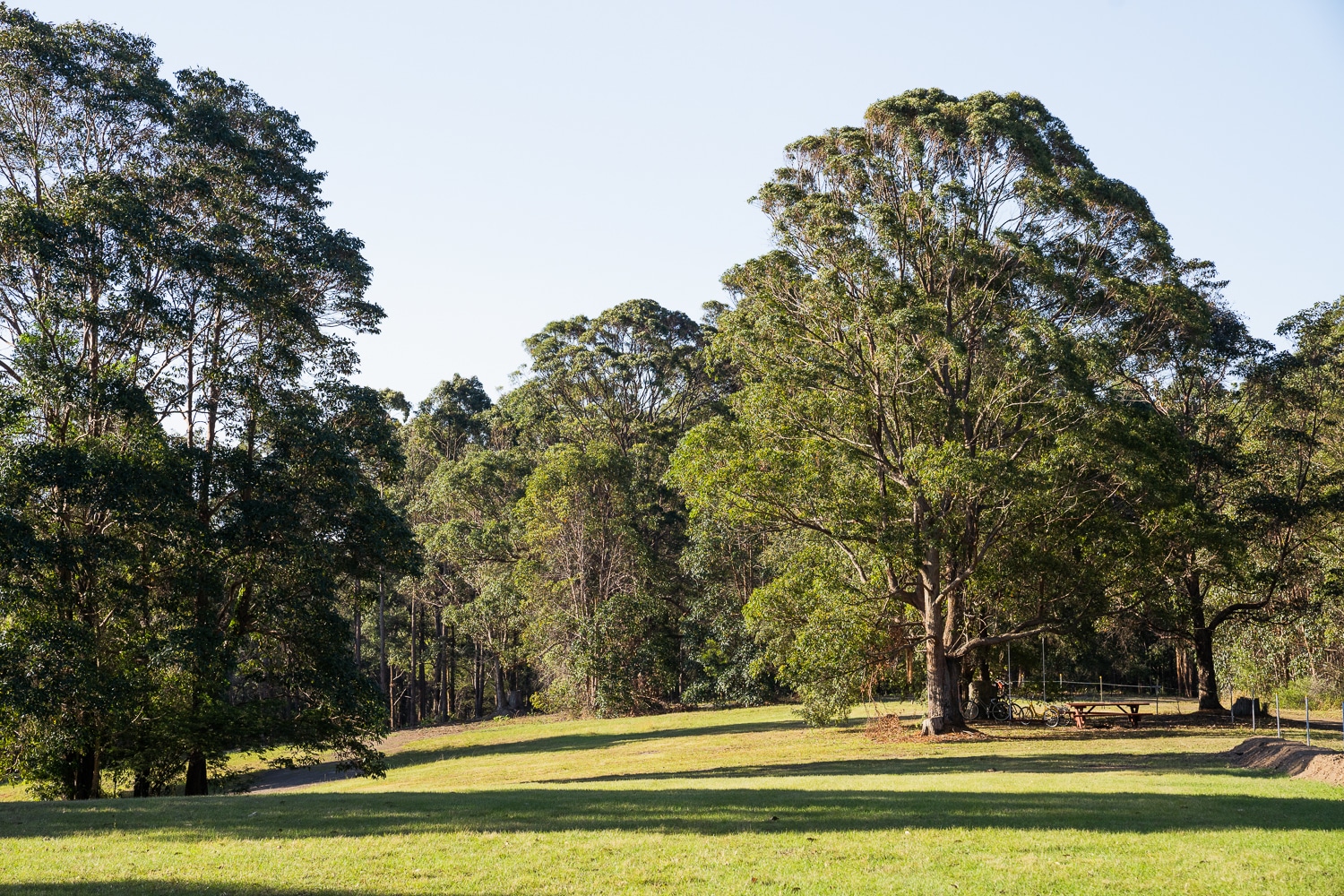 Krishna Farm - Nature's paradise