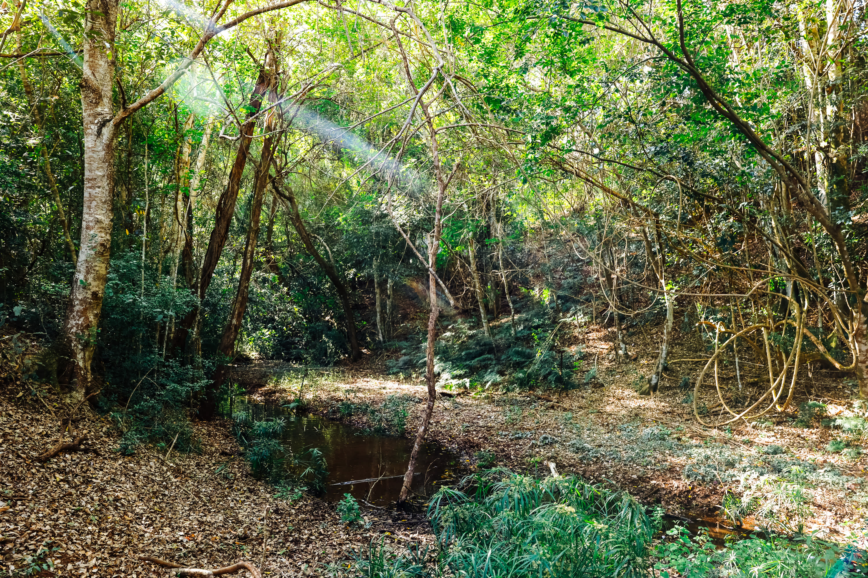 Creekside Camping Amamoor