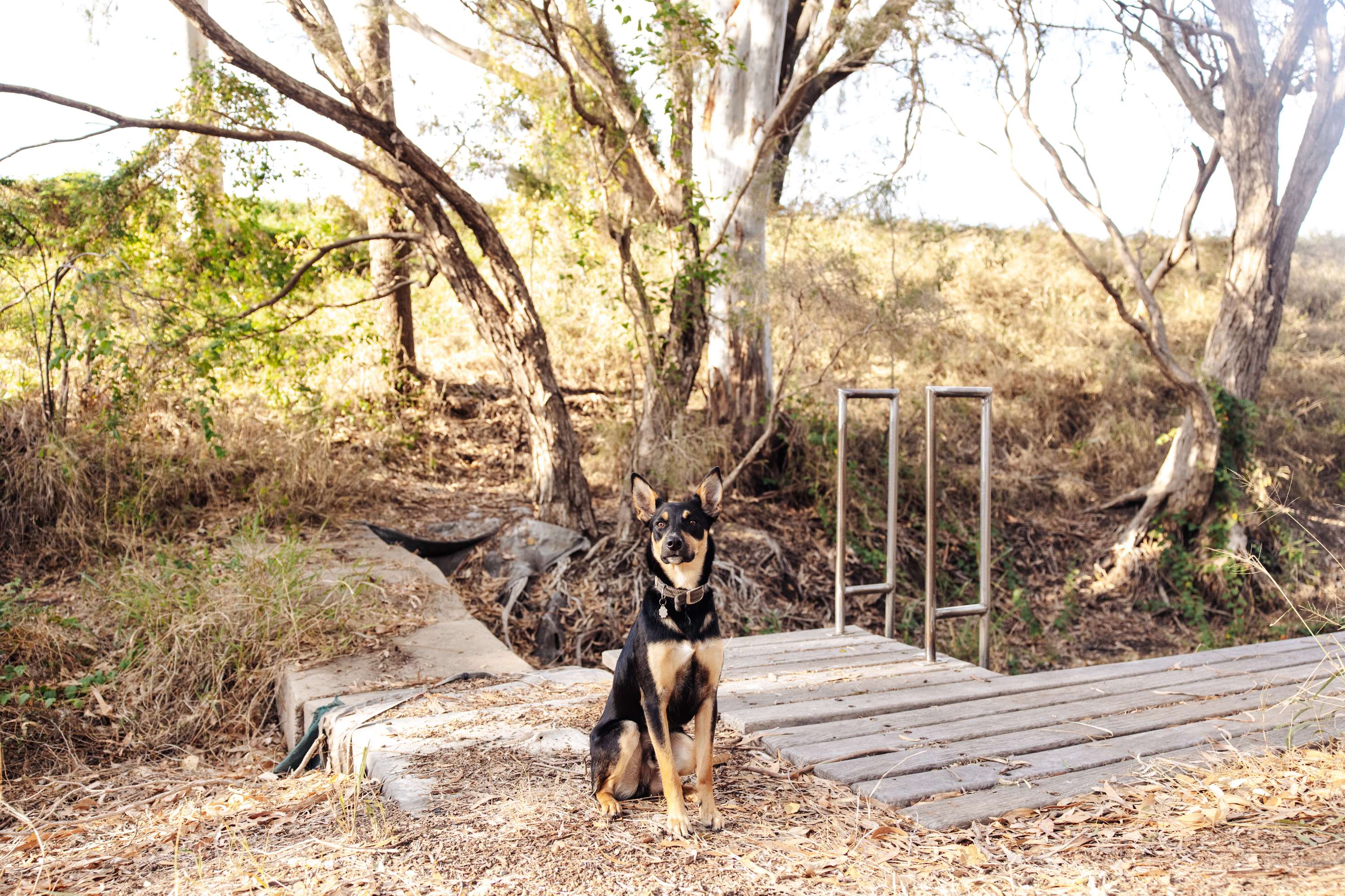 Winterfest Campground