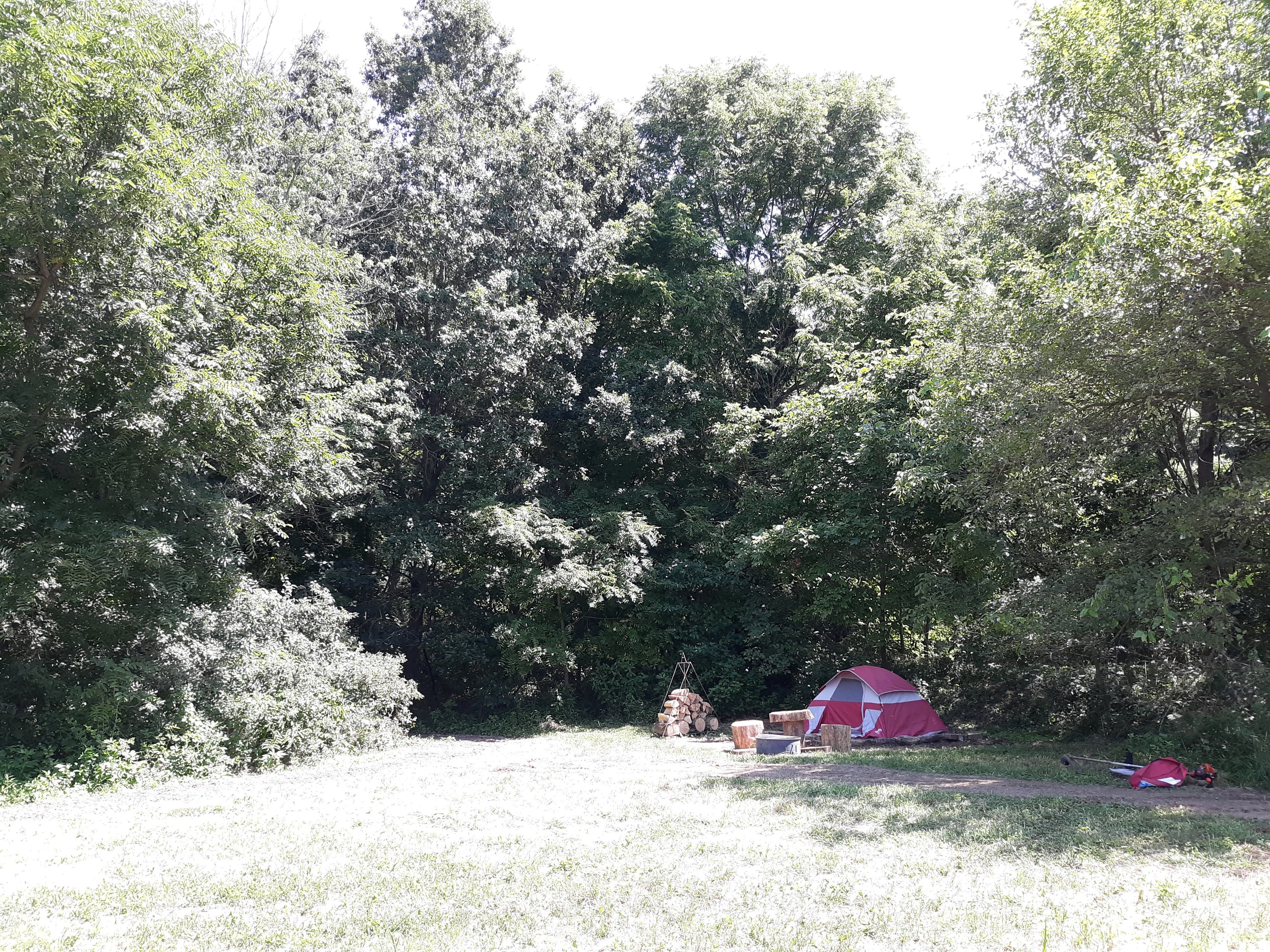 Camp with Alpacas at Aris Farm