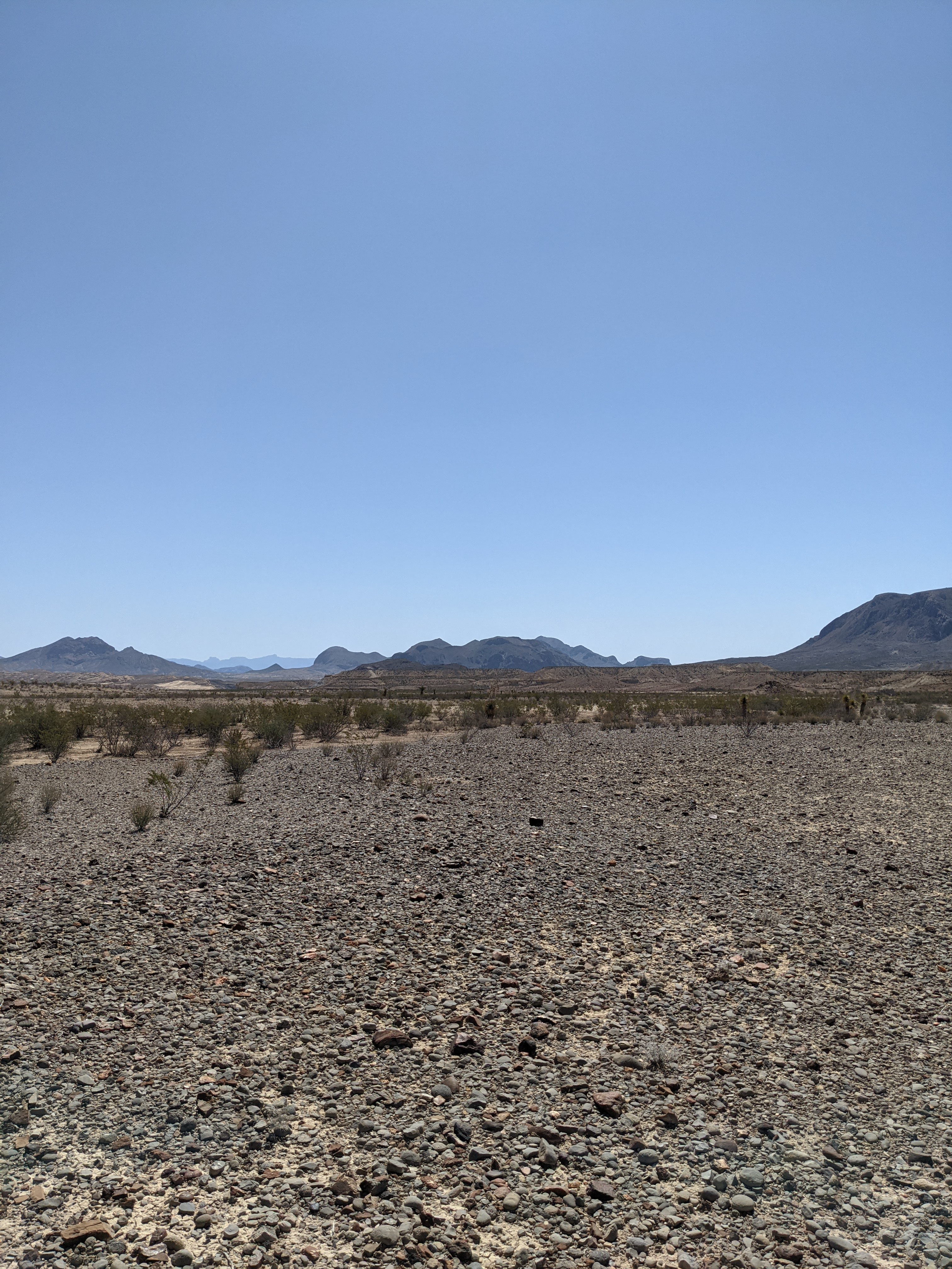 NoWhere Desert Paradise