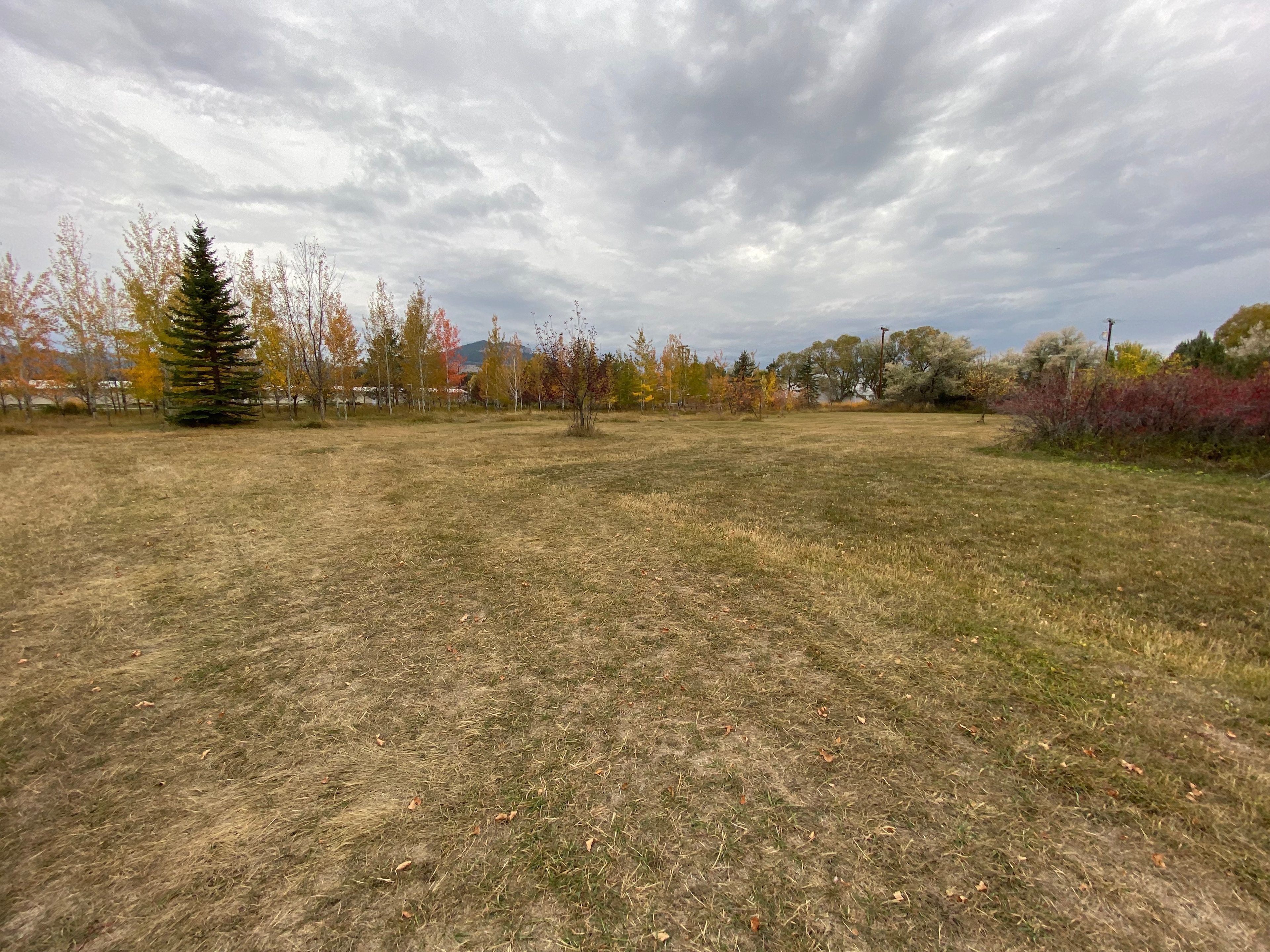 Pitch your tent in the trees or park your RV/Camper in the open field.  We have two designated spots in this area, which give each site plenty of space and privacy.