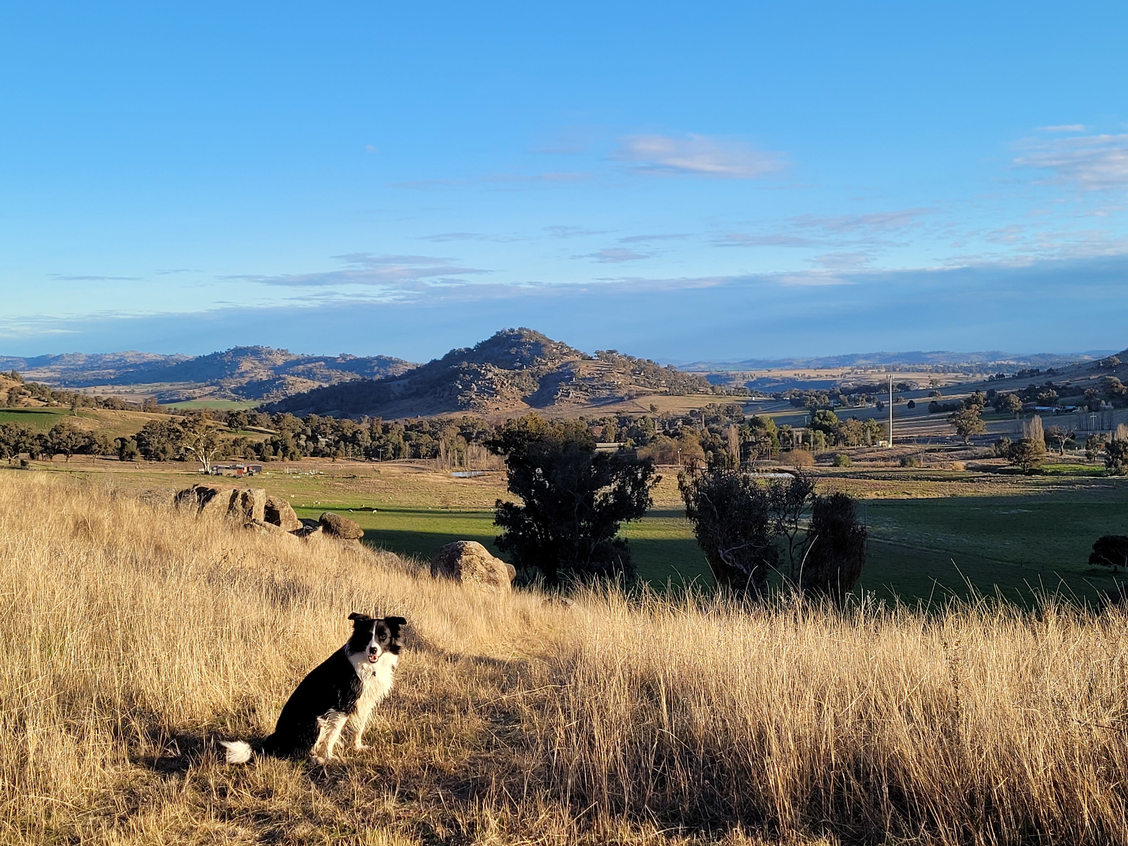 La Paloma Farm