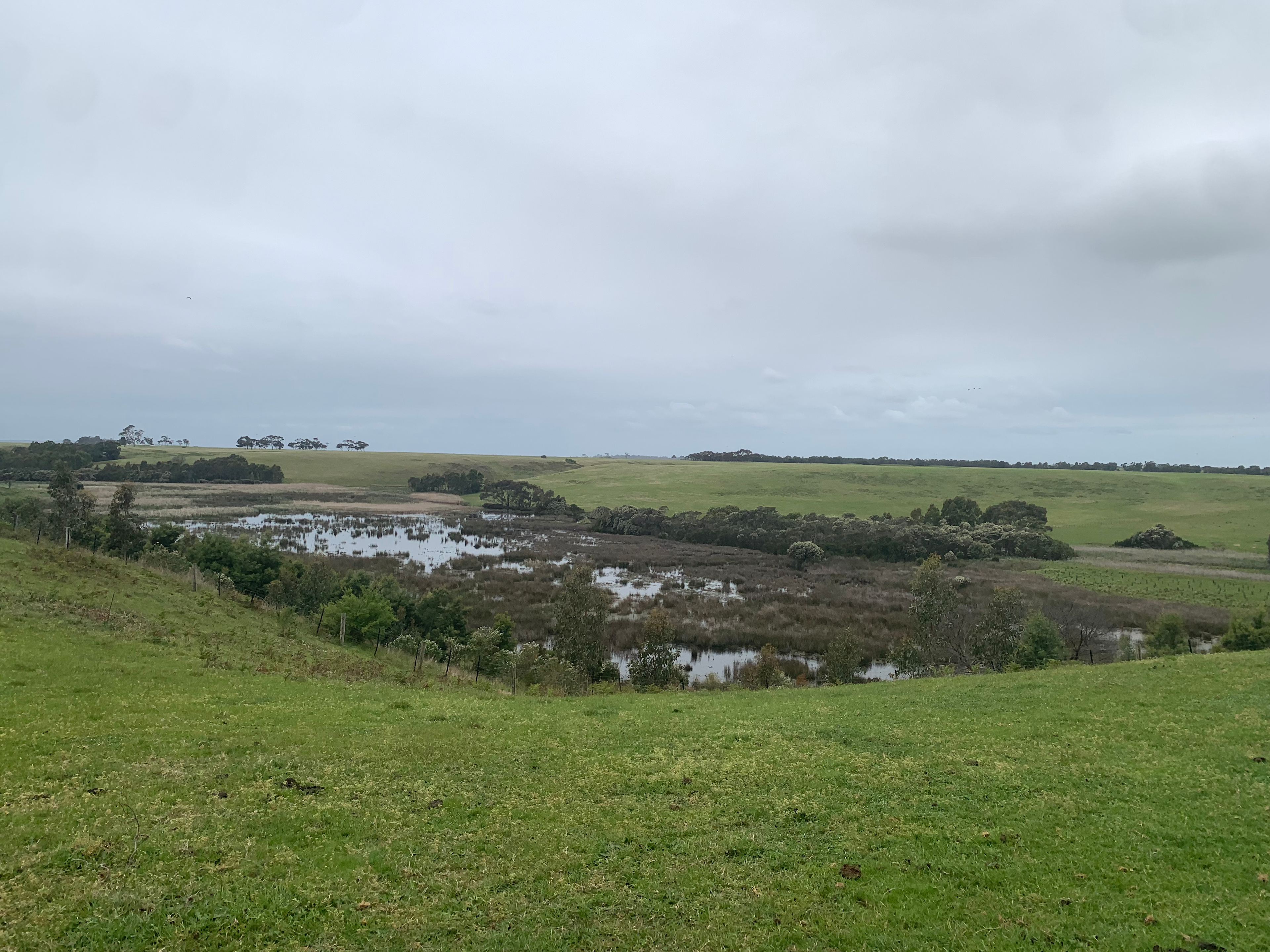 Site 6