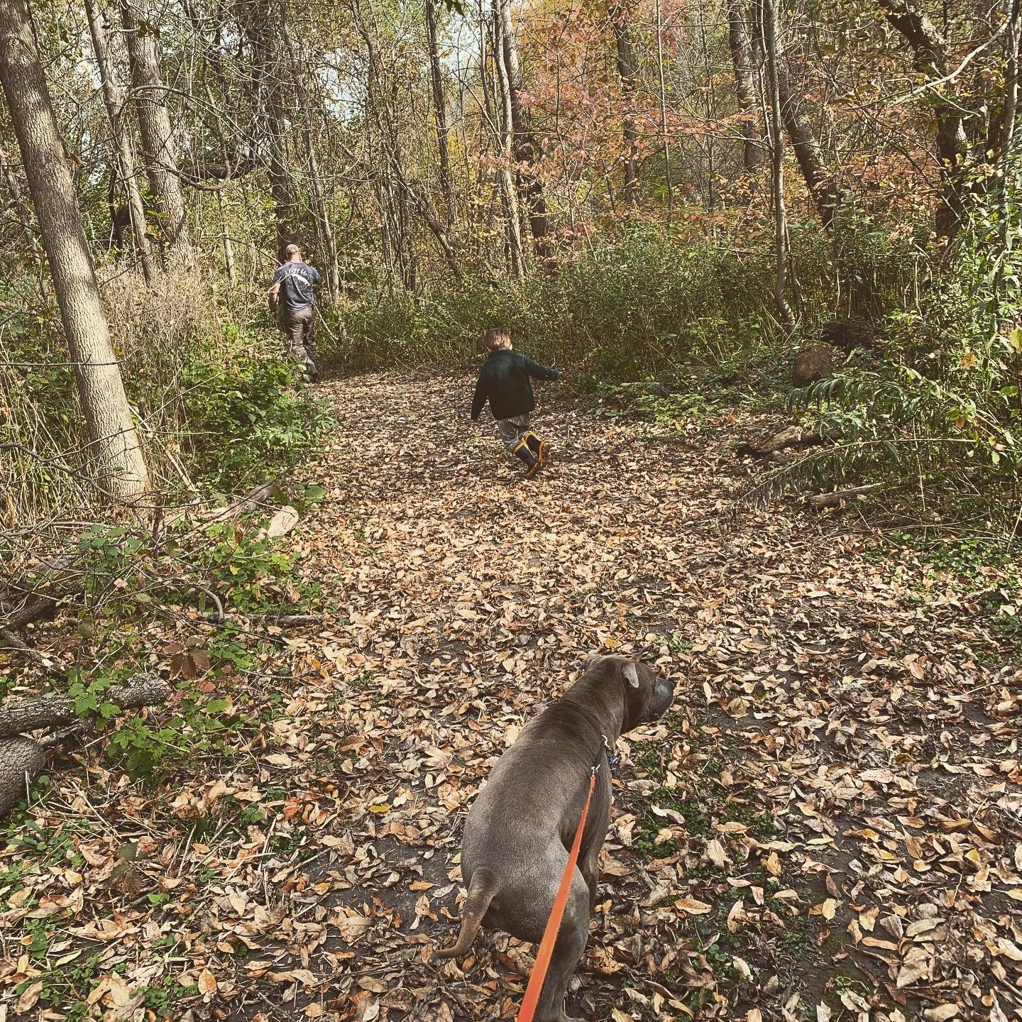 La Nation BedROCK 🤘 🏕️🔥🌲