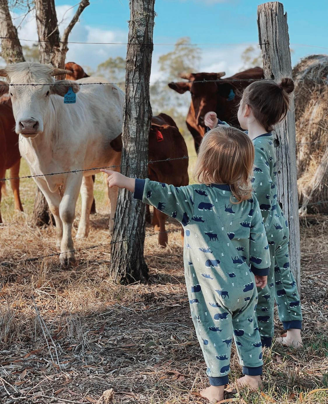 Captured by our lovely guests - Some of our littlest campers checking out the locals. 