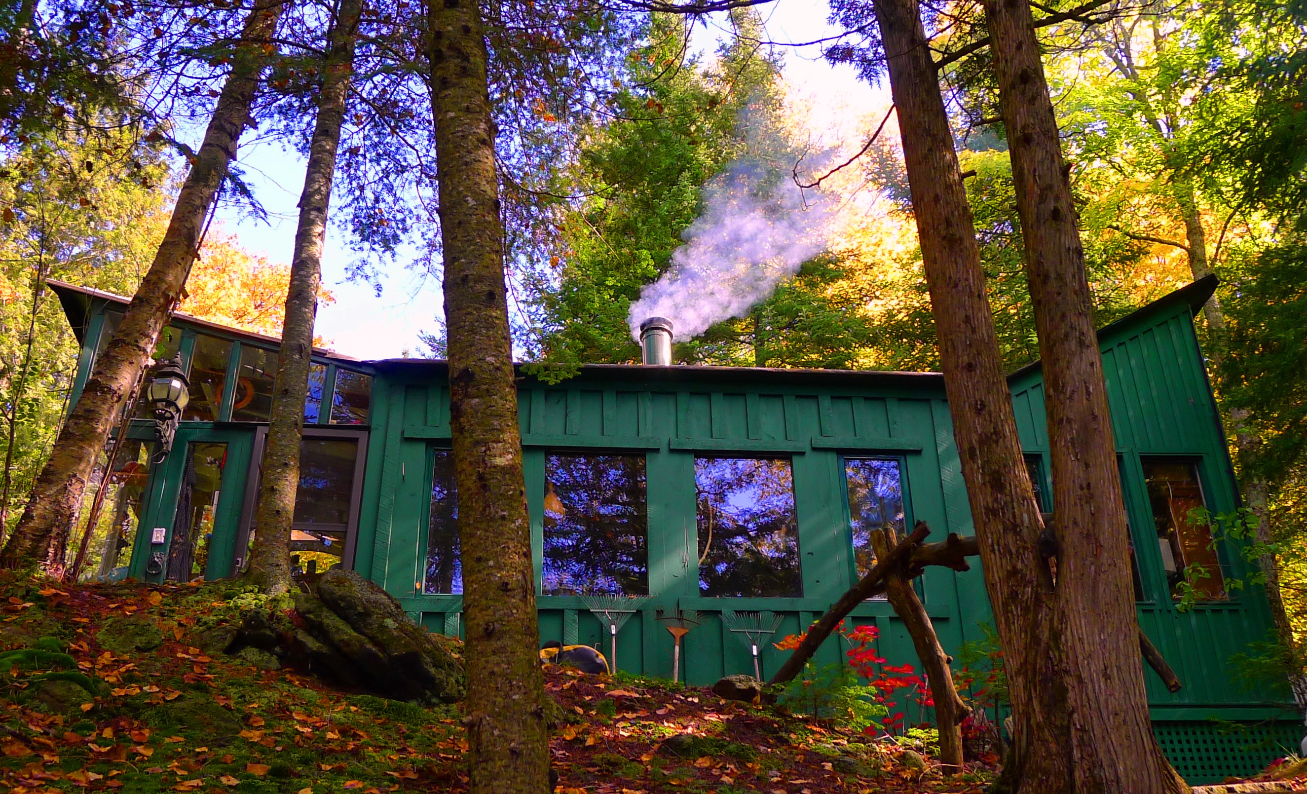Natural Joy! Cosy Canoe Cottage