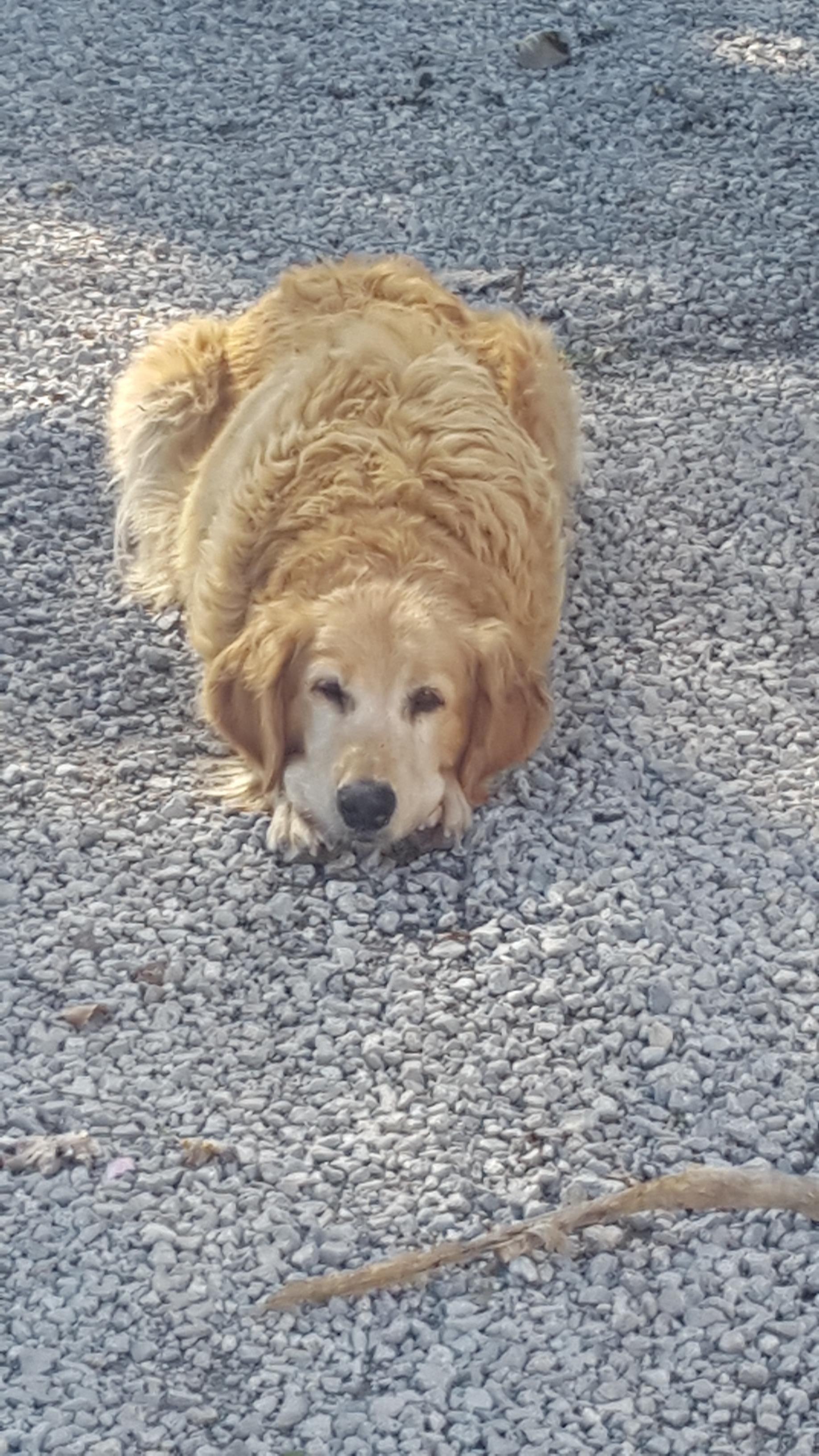 Grandma Sophie