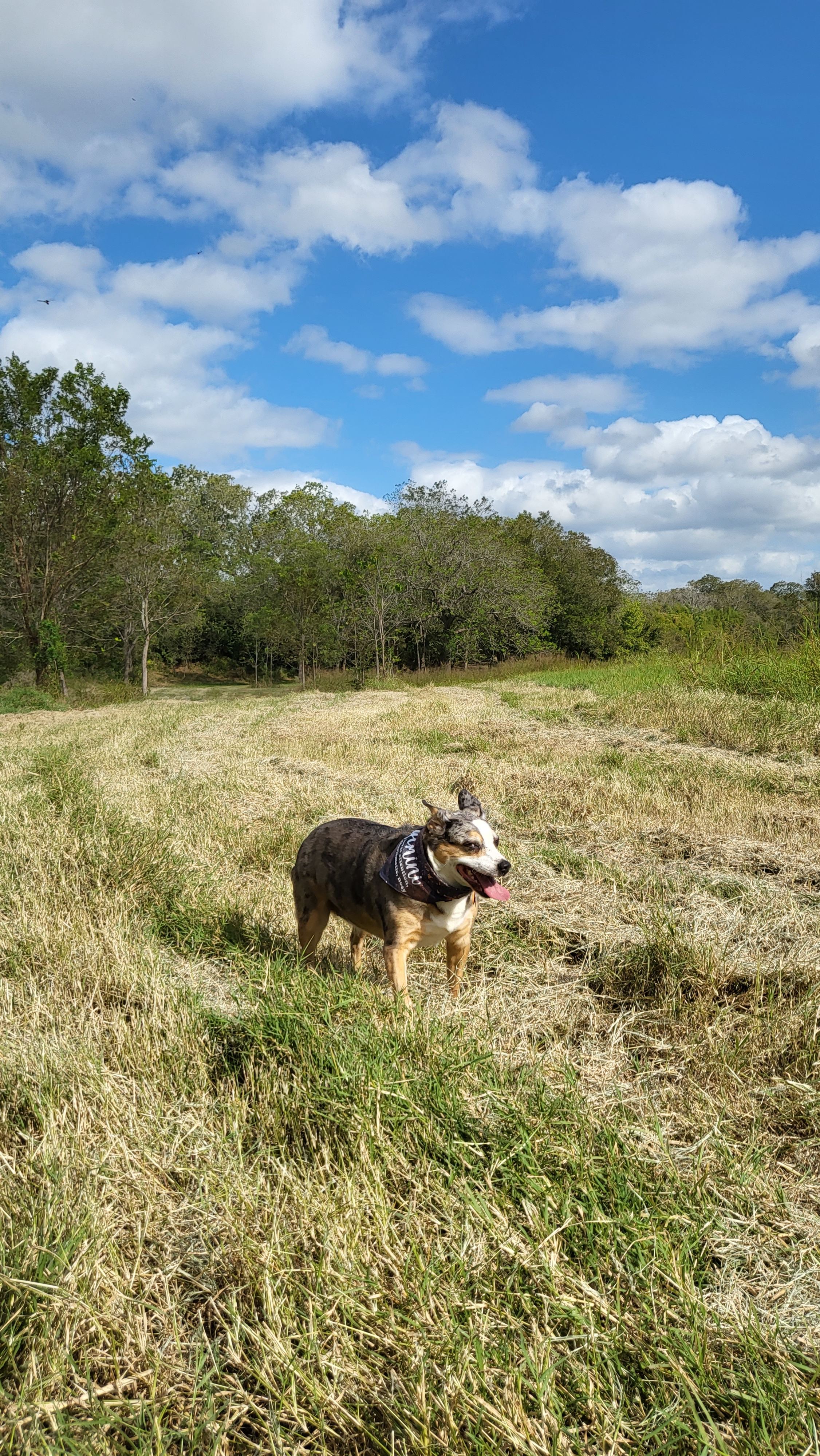 River Grove Campground