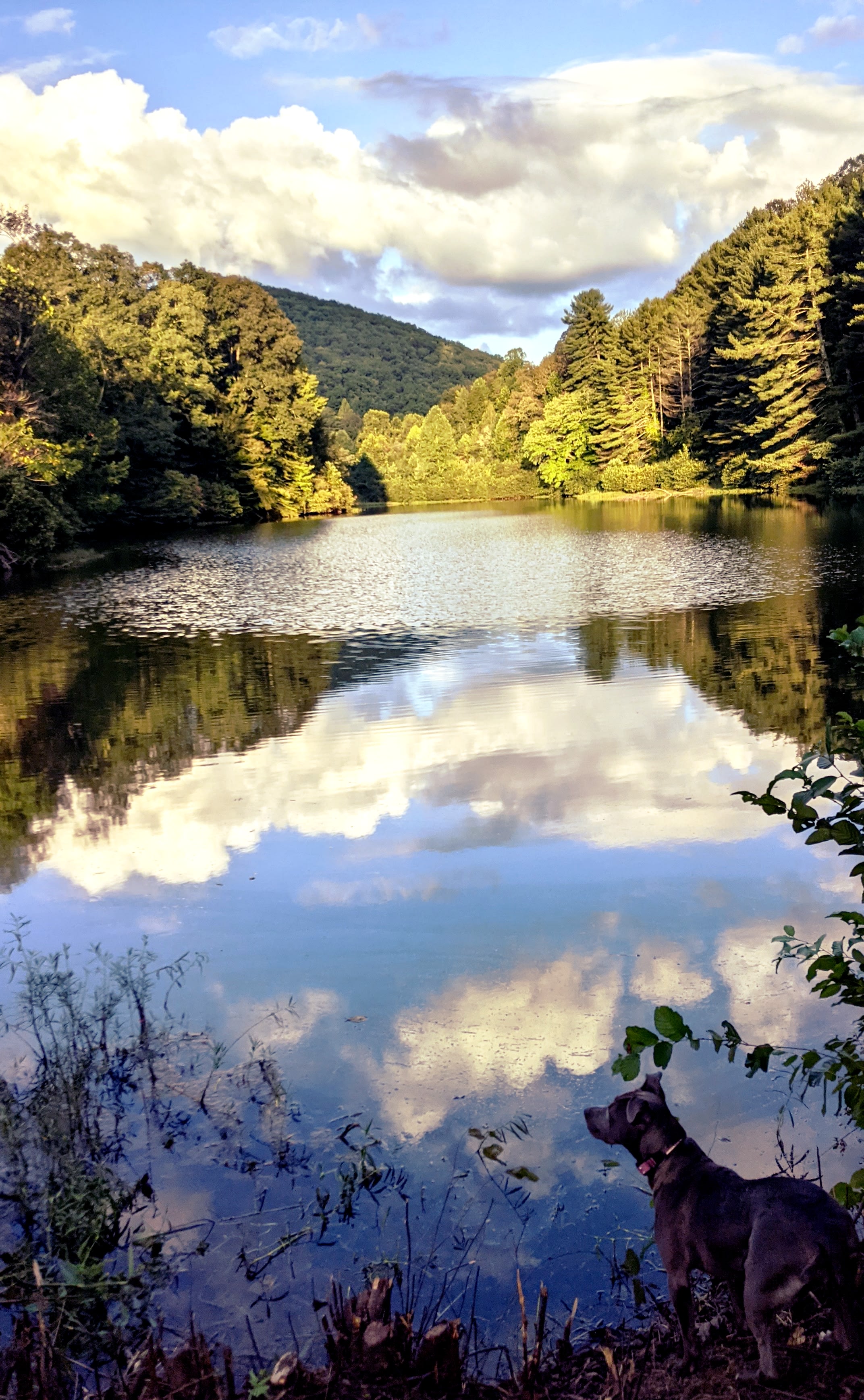 Beautiful and quiet lake