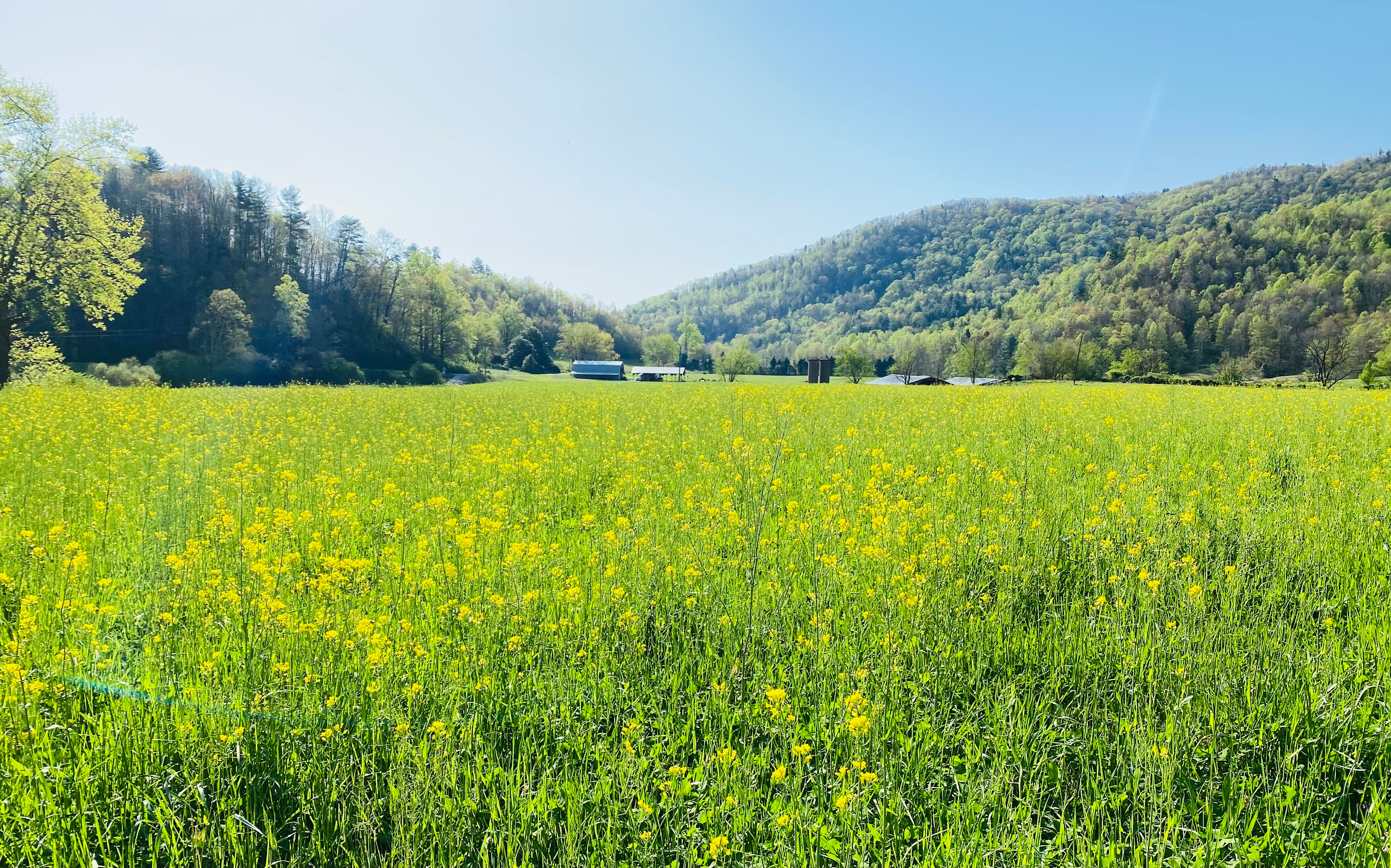 Overland Camping for 4!