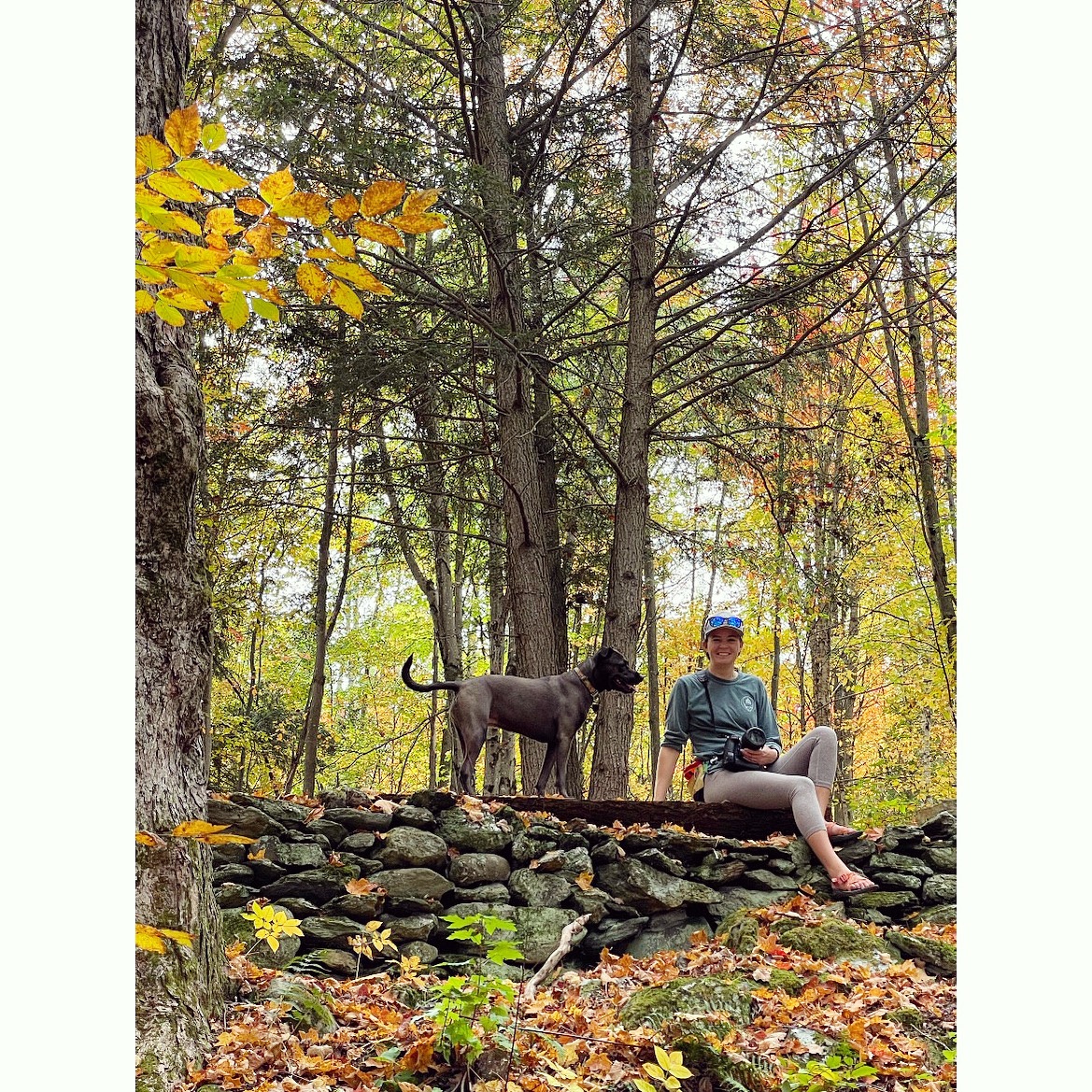 Cold Hollow Disc Golf