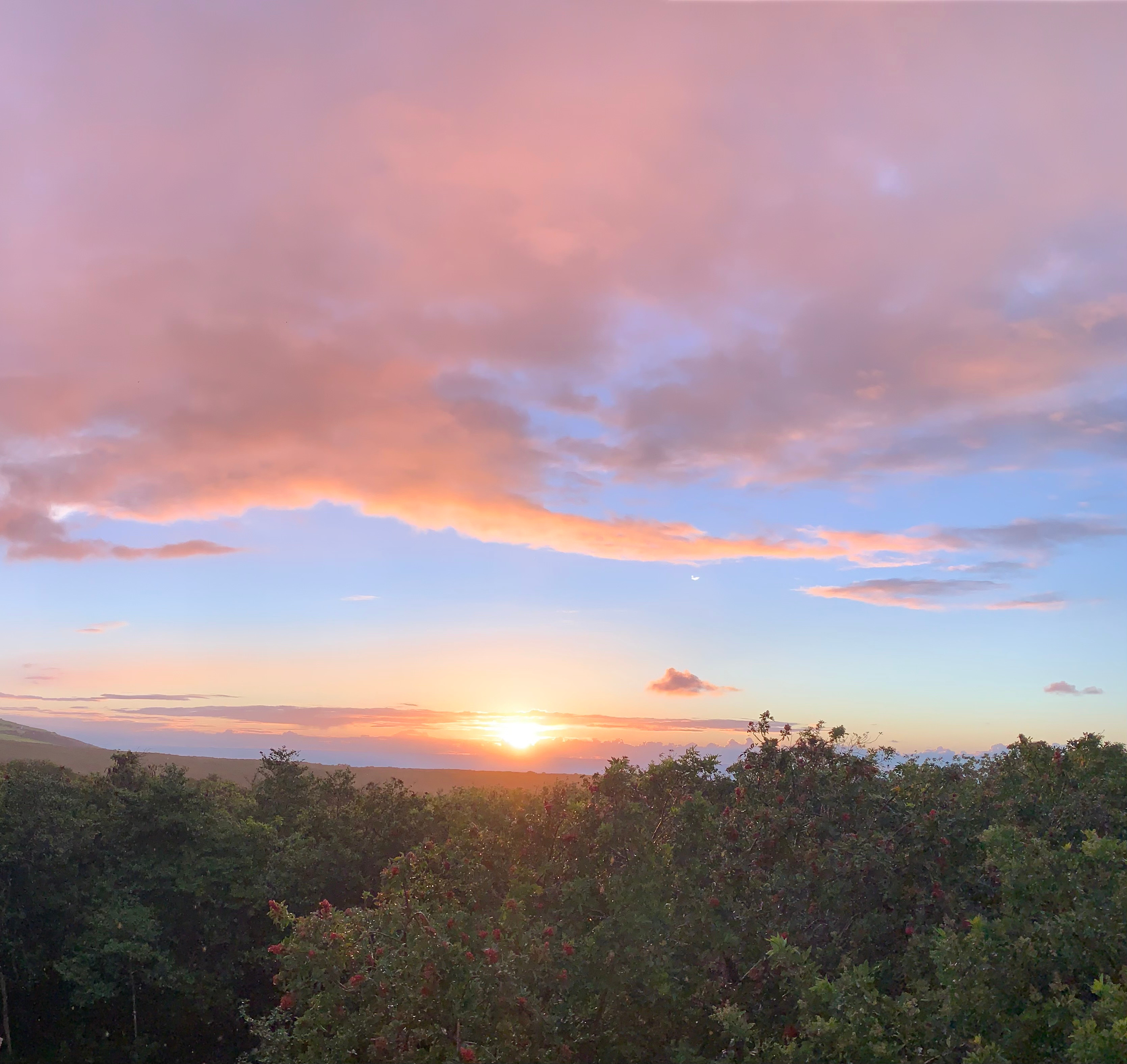Sunrise!