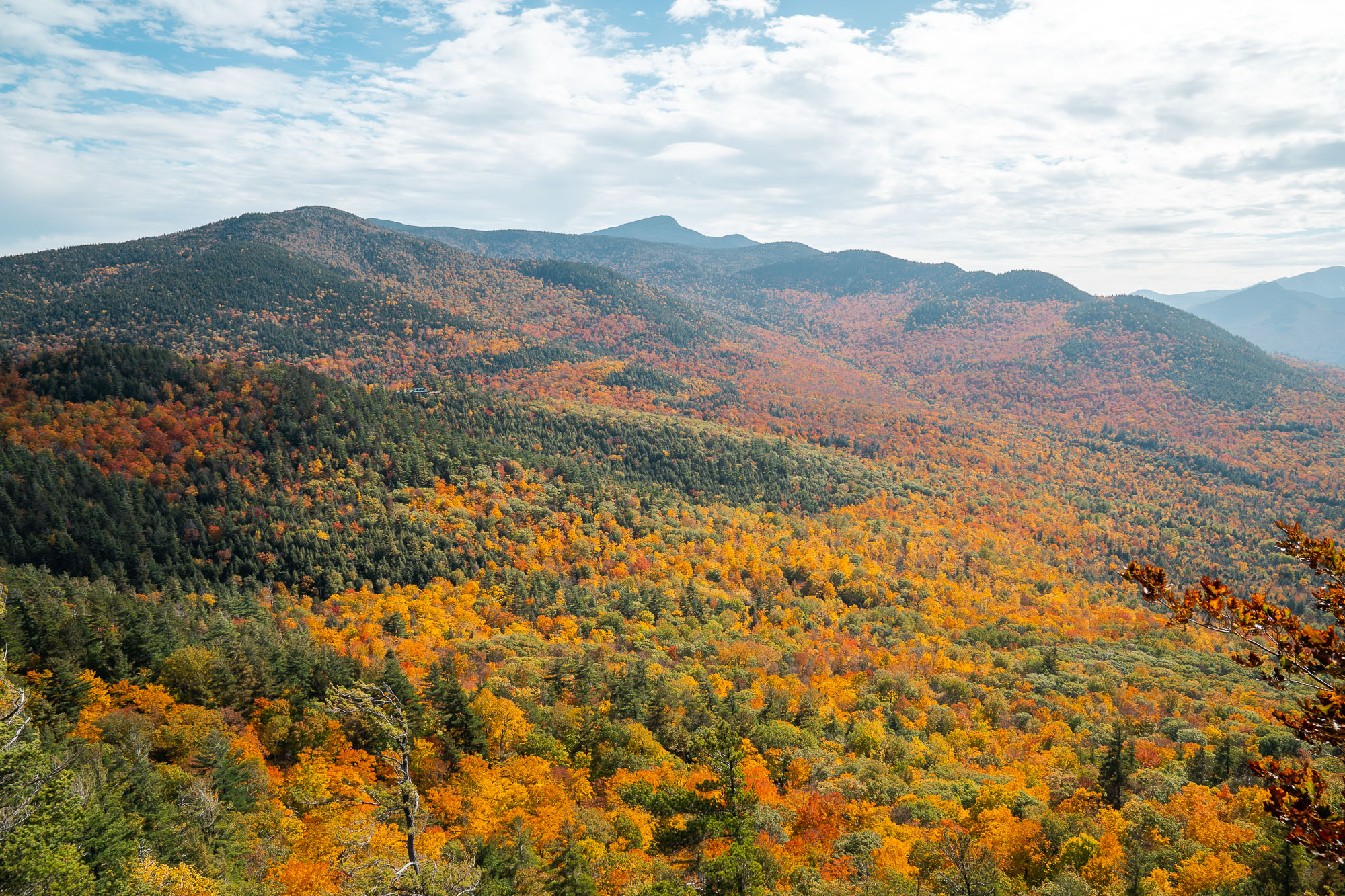 Fall foliage | Photo by Zak Suhar | zaksuhar.com | @zaksuhar