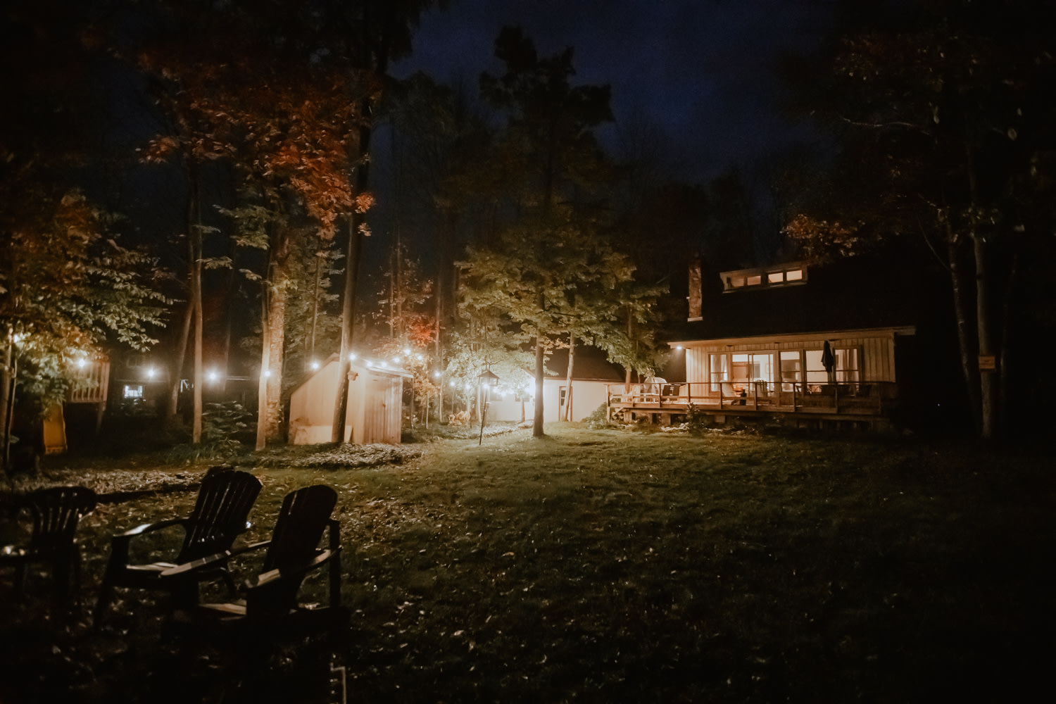 Just because it's dark doesn't mean you have to be inside!  Safely enjoy the yard at night with these beautiful automated lights