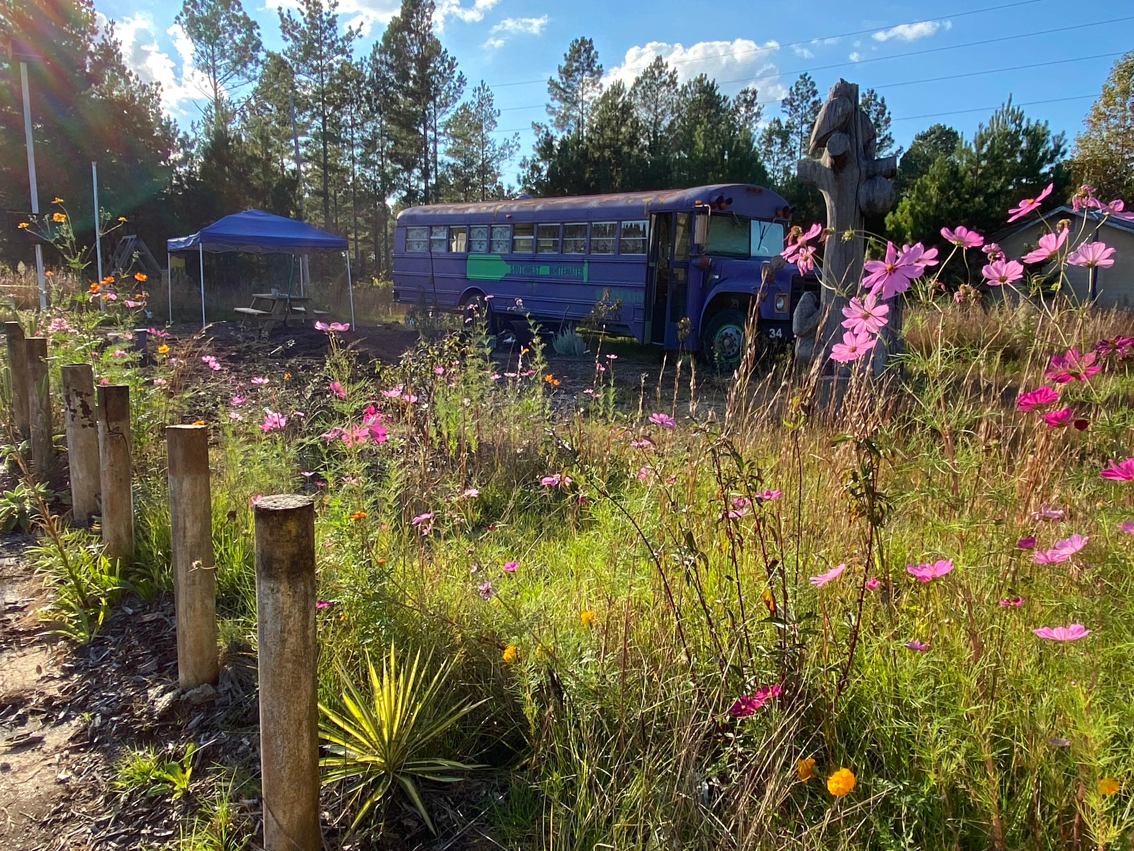Serendipity @ Full Circle Sanctuary