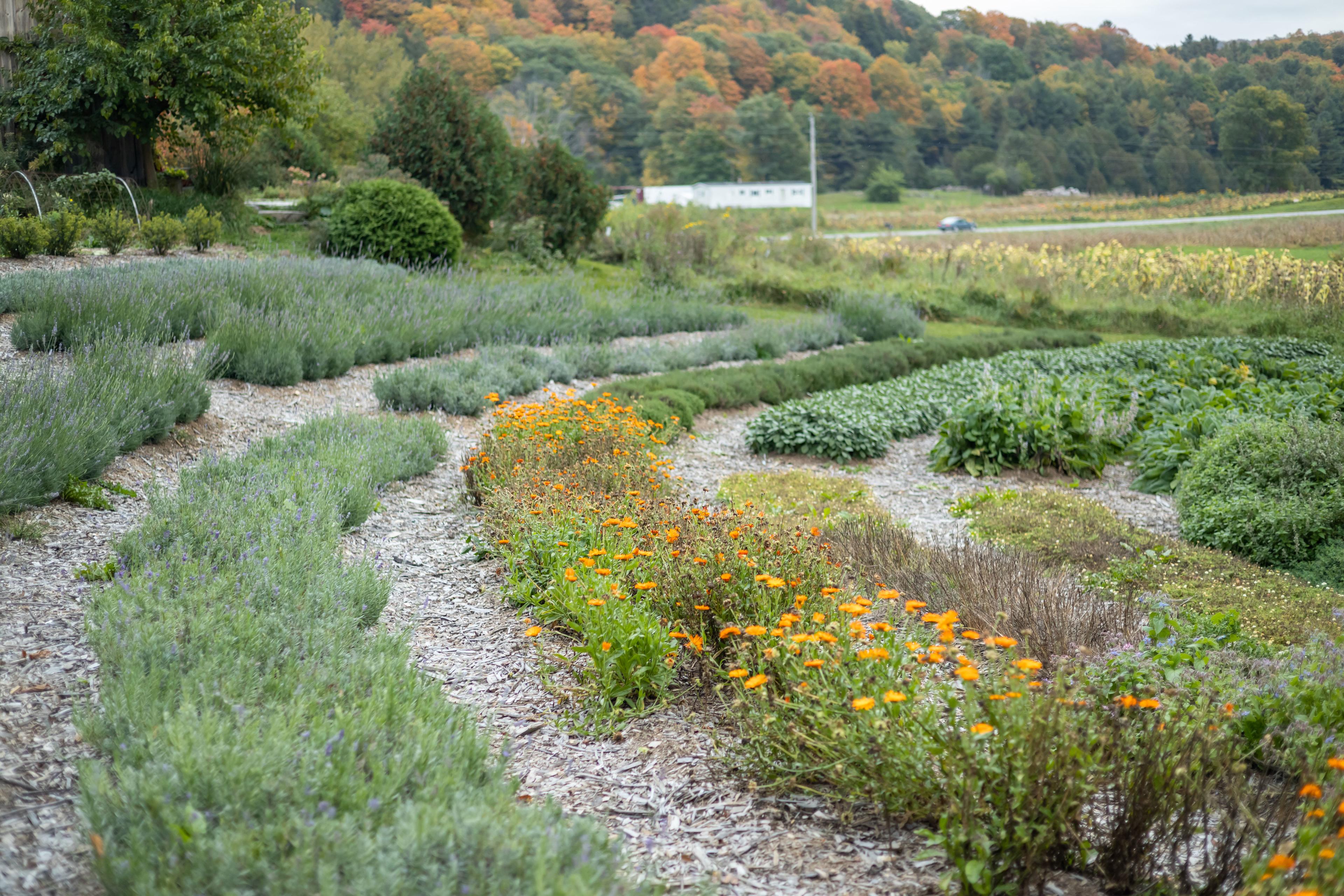 The herb gardens are stunning!
