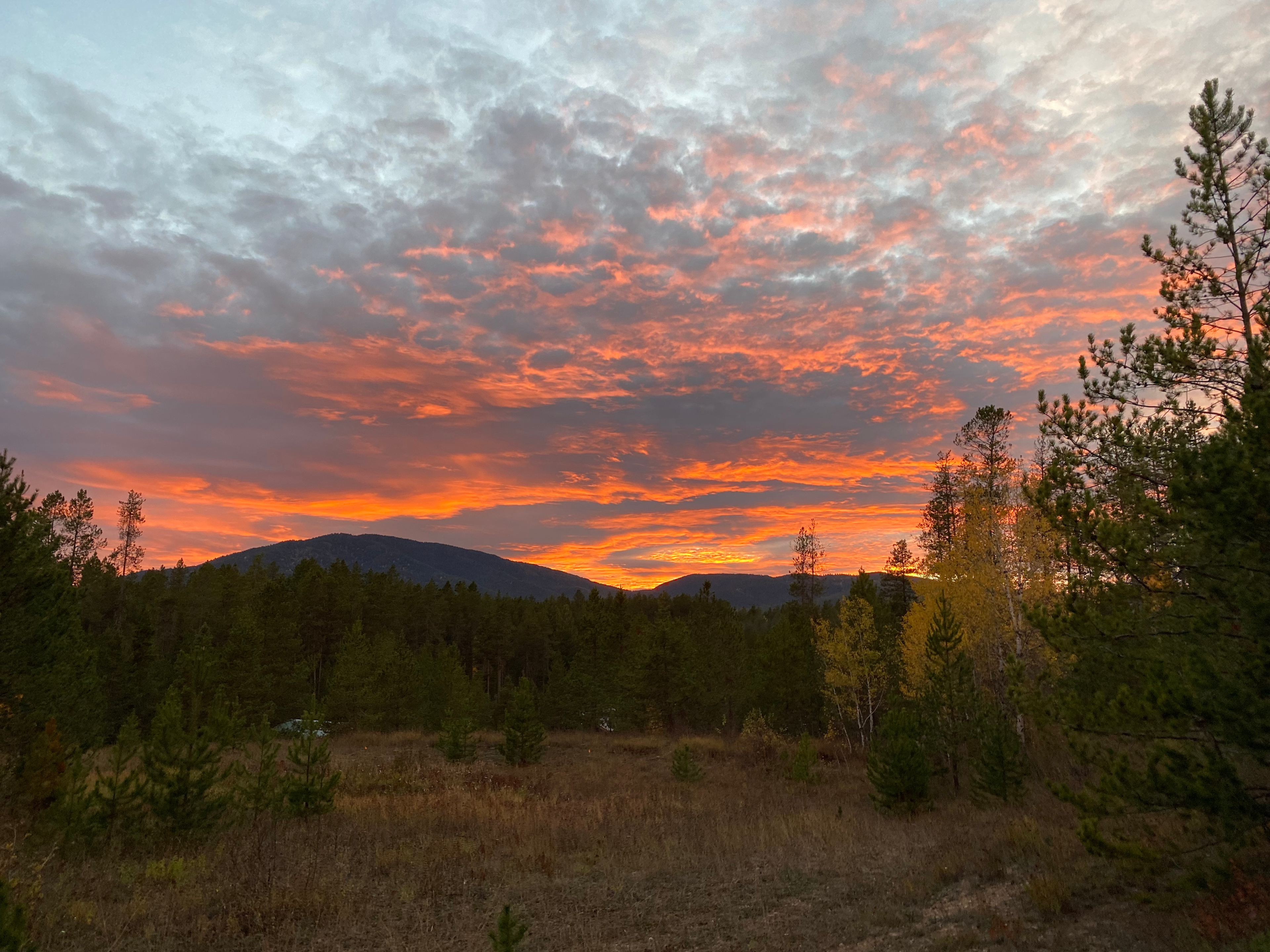 Sunset from the property