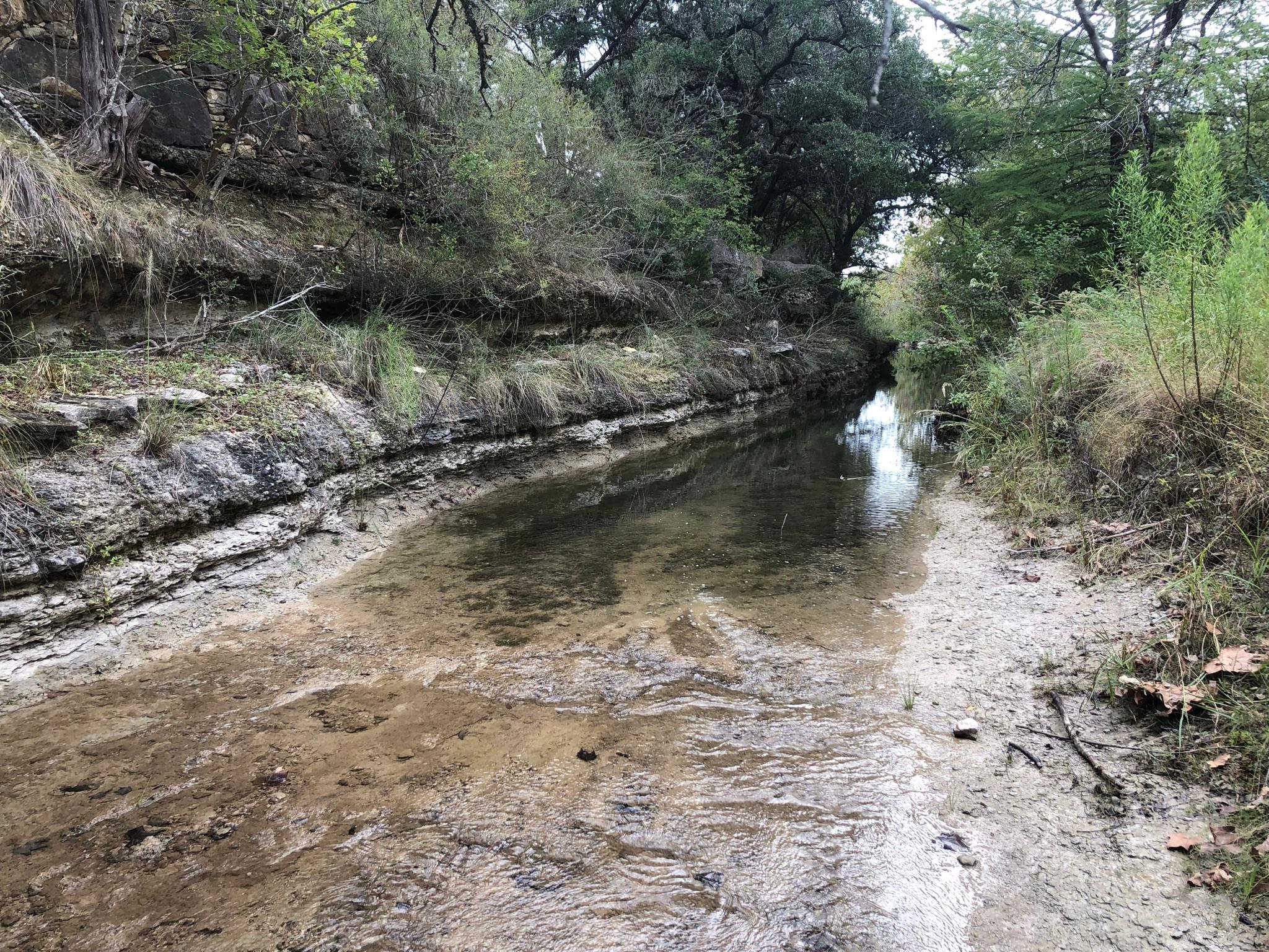 Relax near this spring fed creek and listen to the water flowing over the rocks

