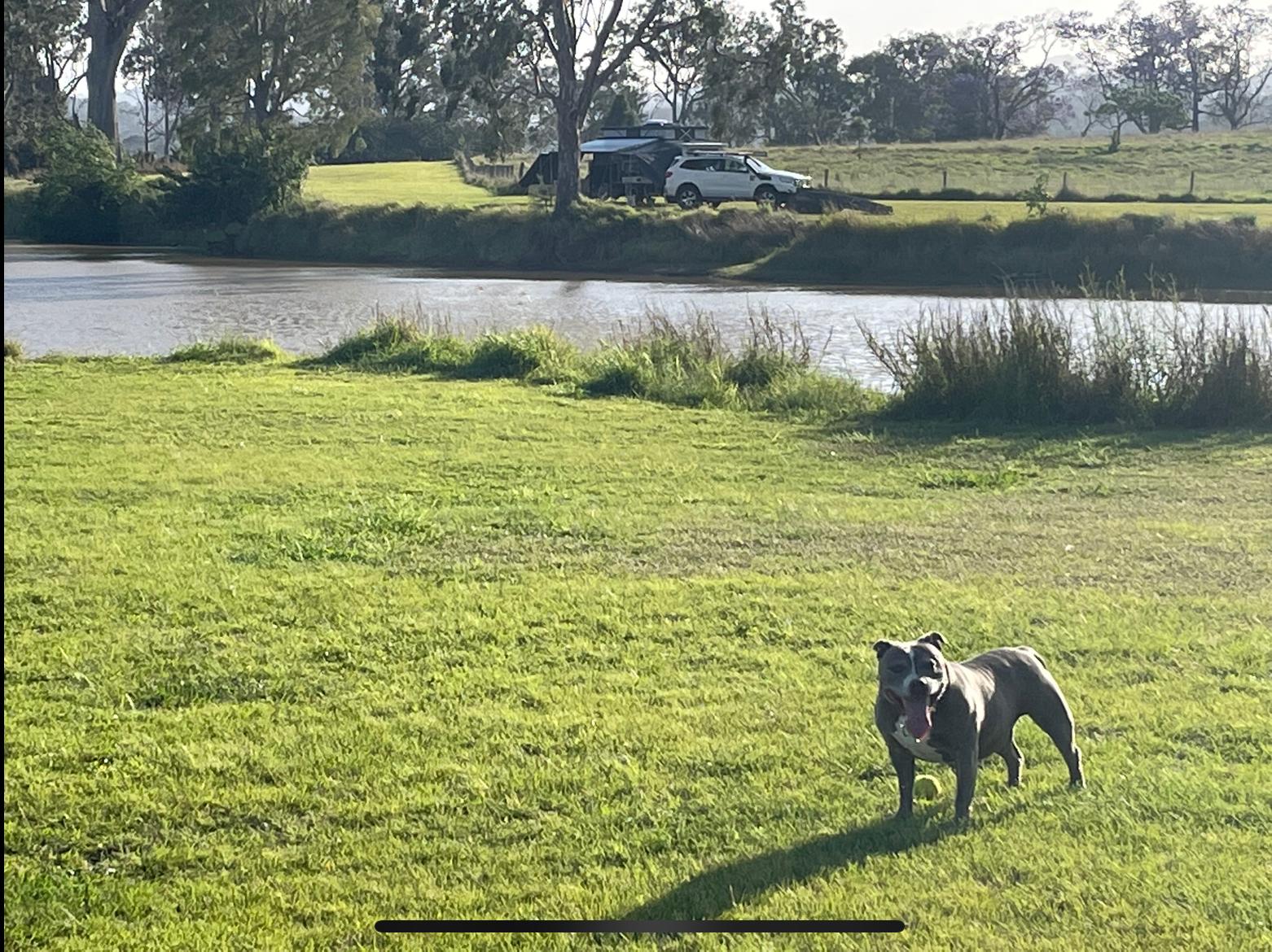 Logan Park Farm