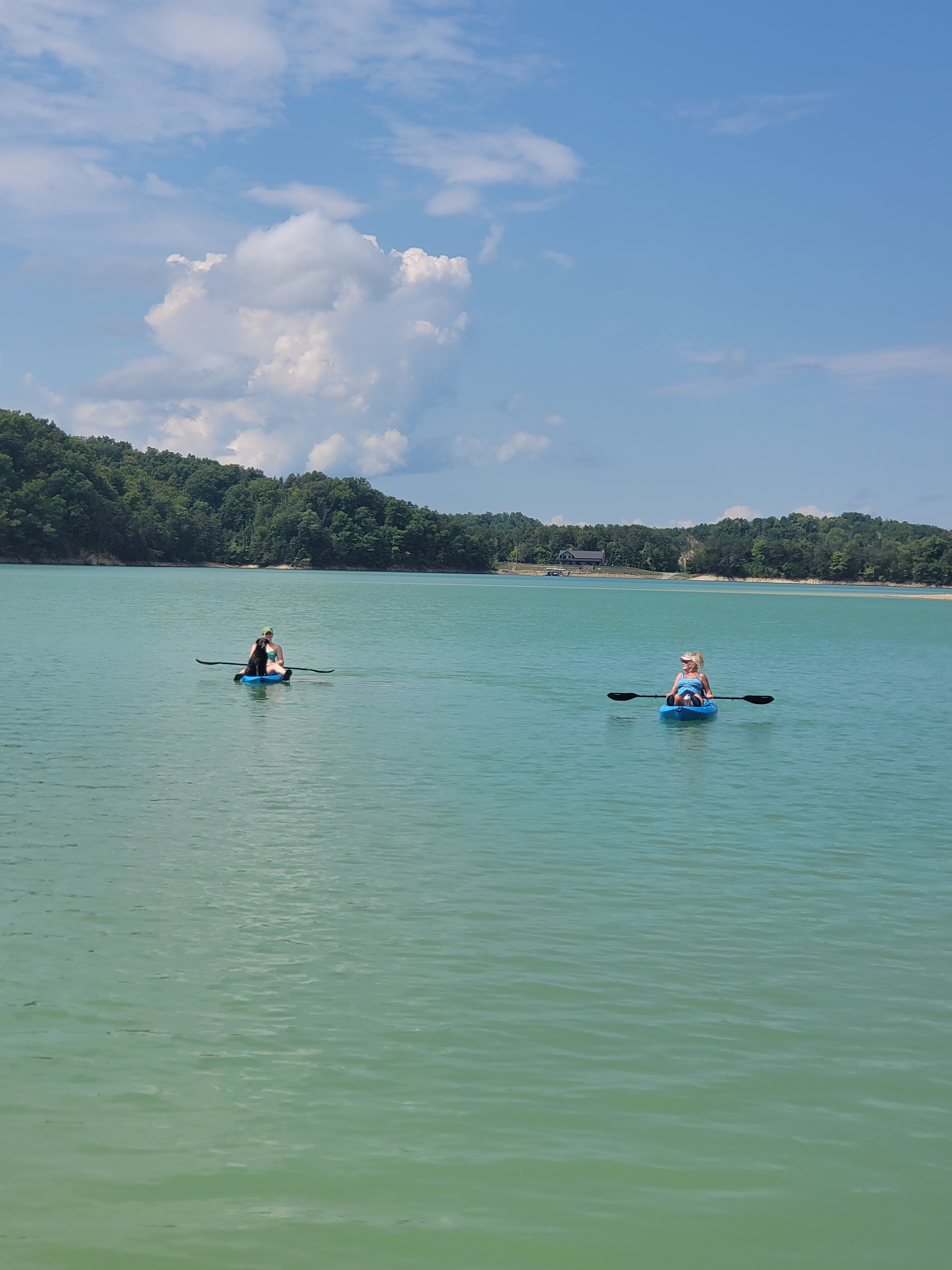 kayaking in the cove