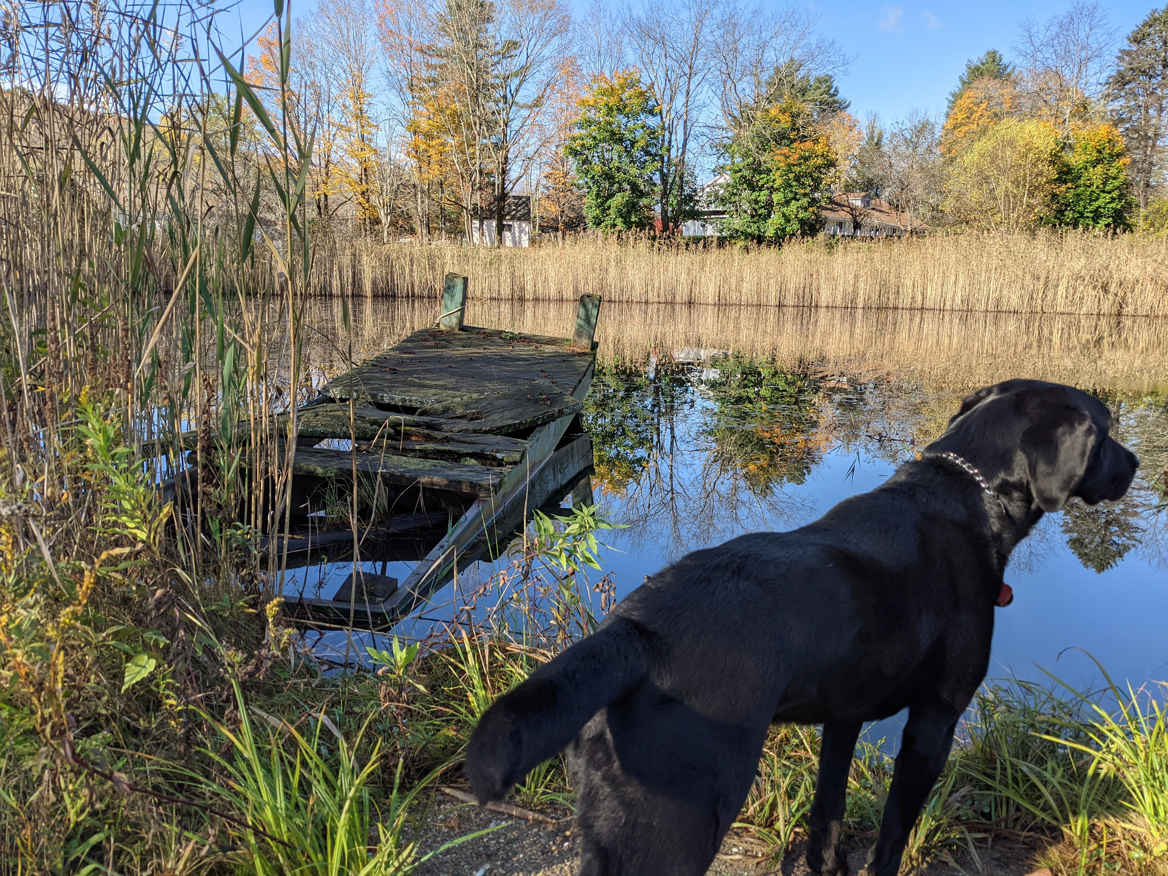 Gus's Gardens