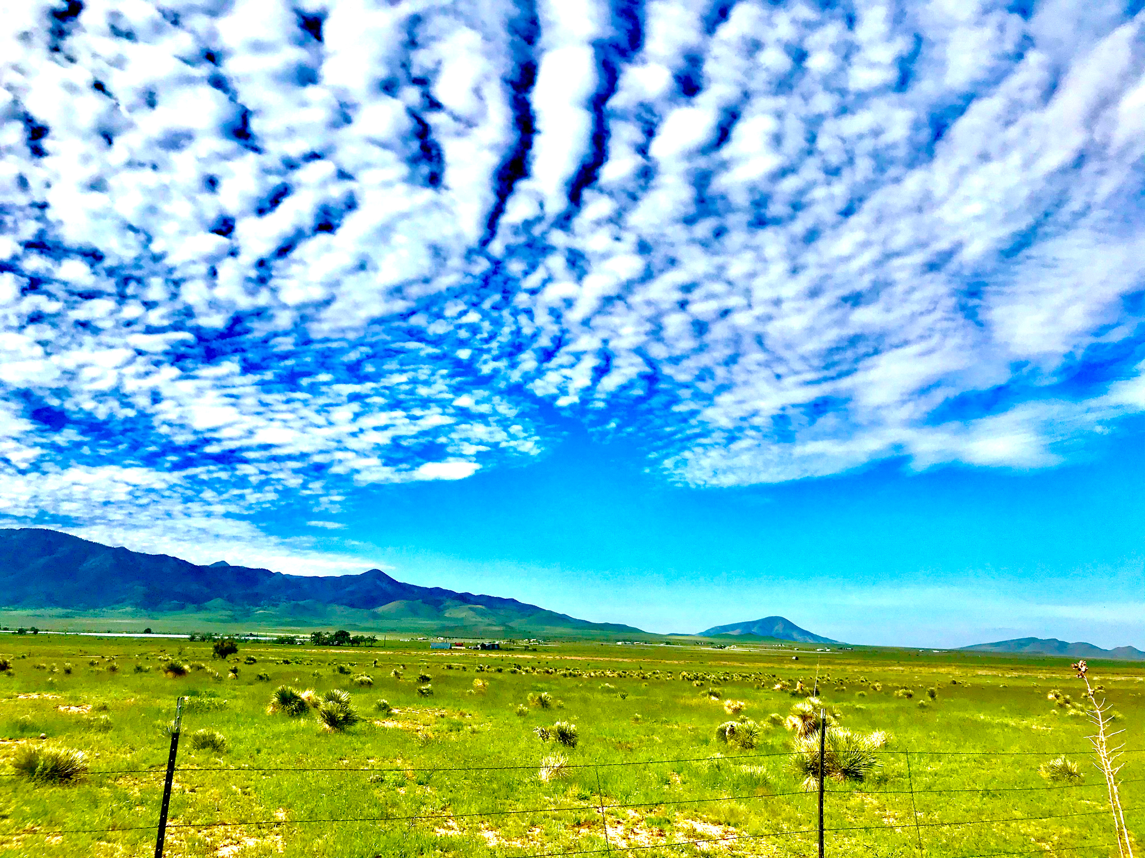 R&S Co. Ranch