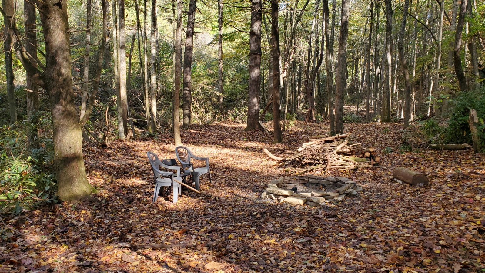 Community fire pit has plenty of free fire wood to gather.