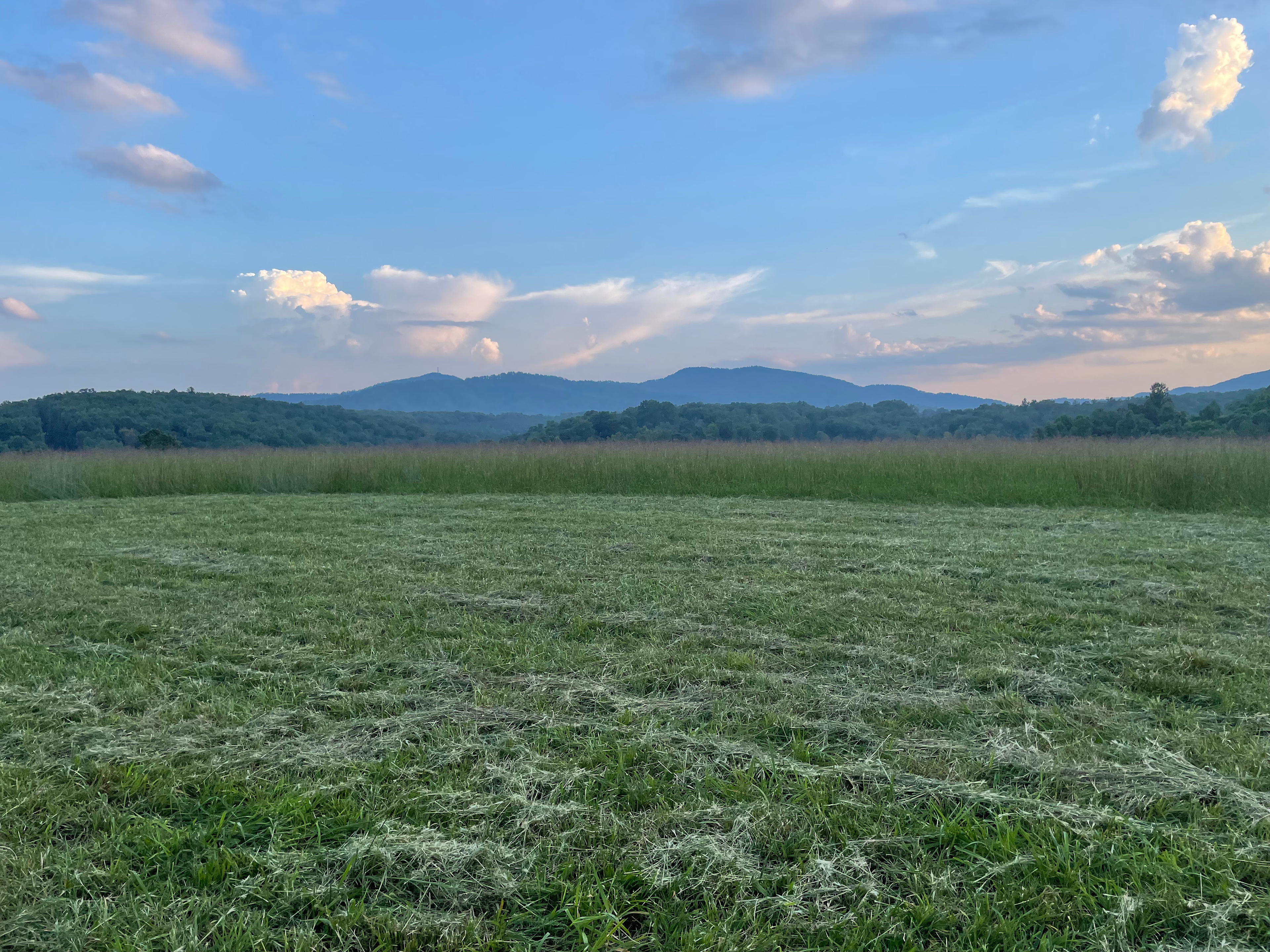 LongView Farm