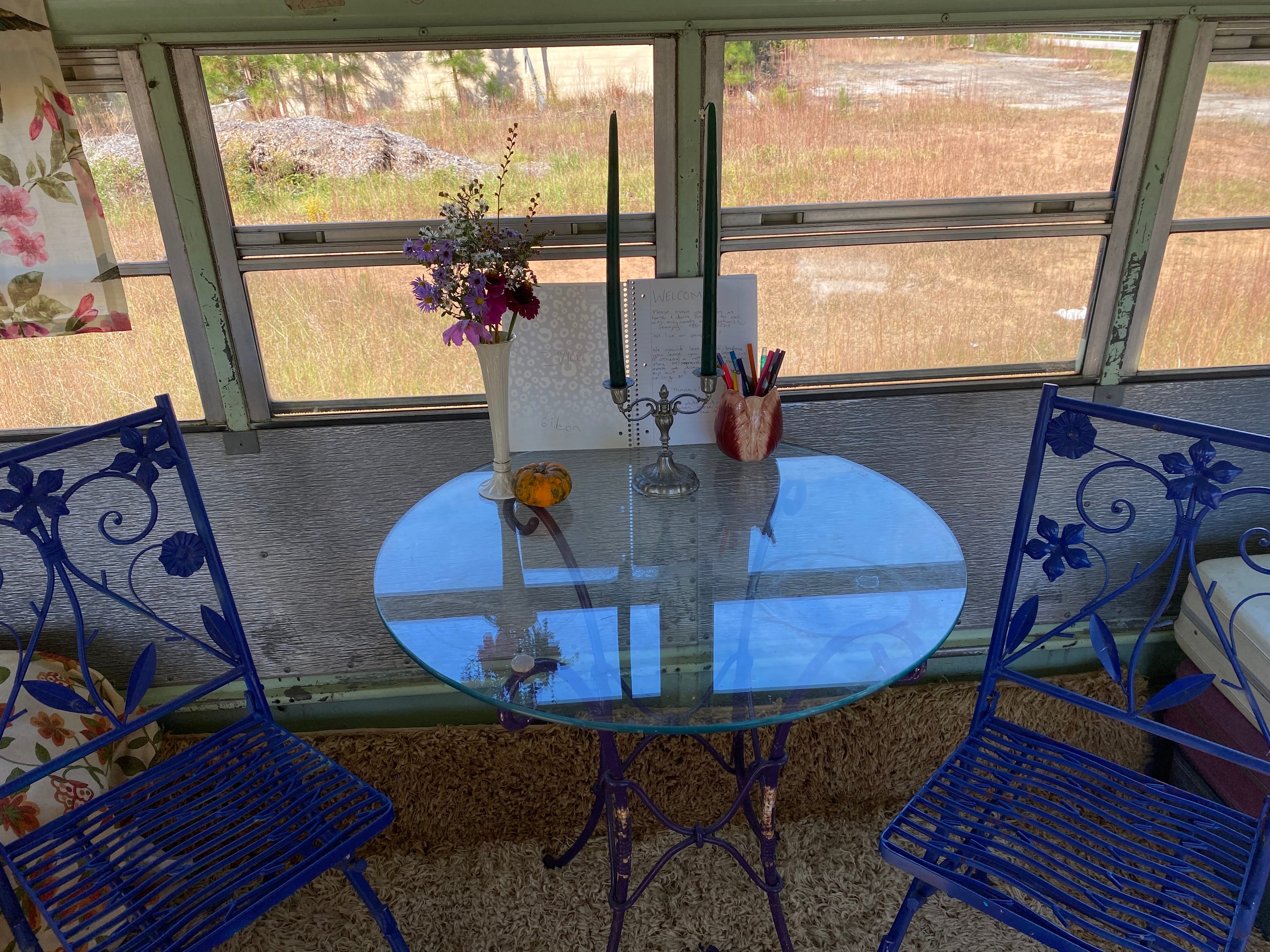 Serendipity @ Full Circle Sanctuary