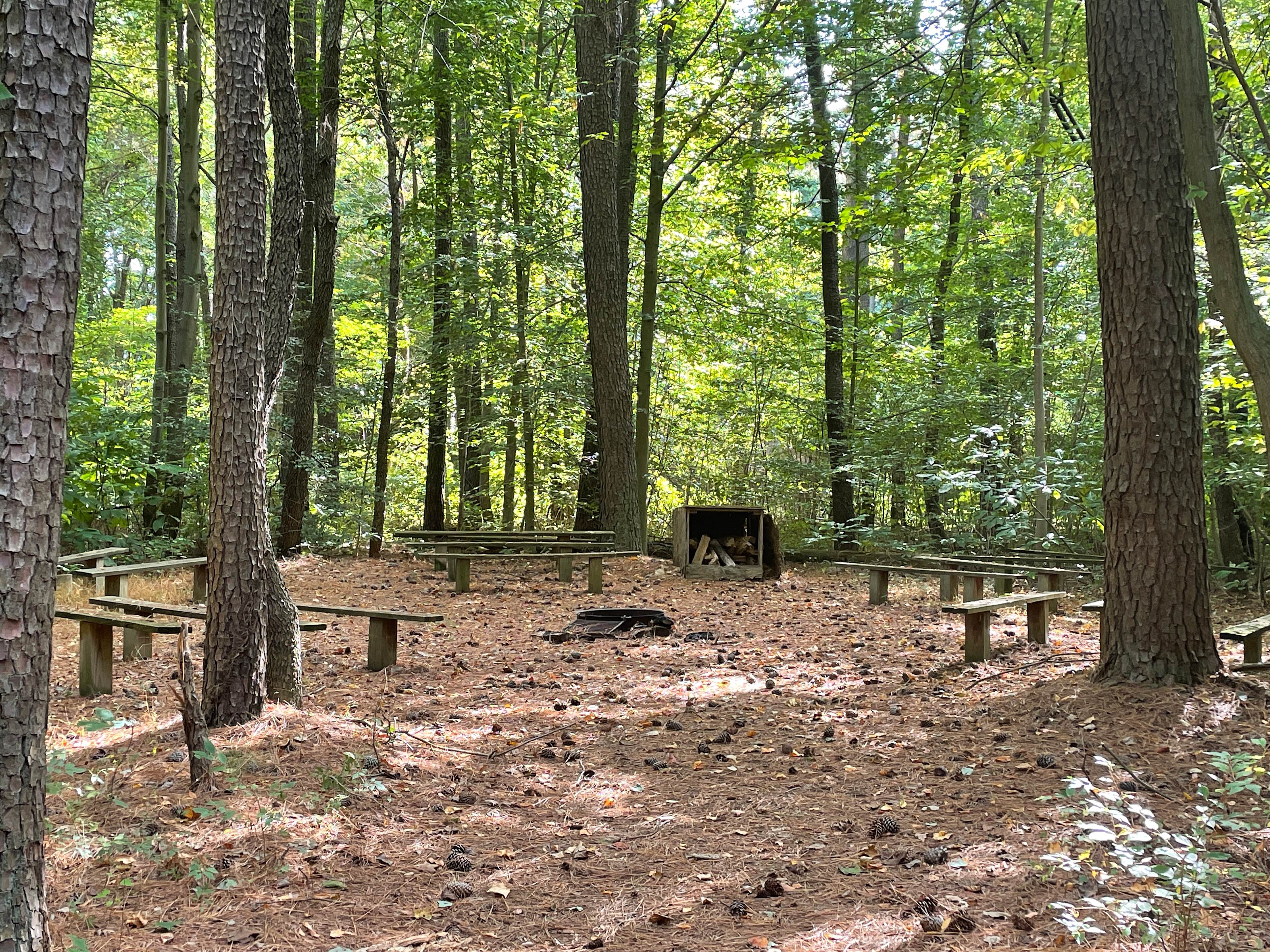 YMCA Camp Tockwogh