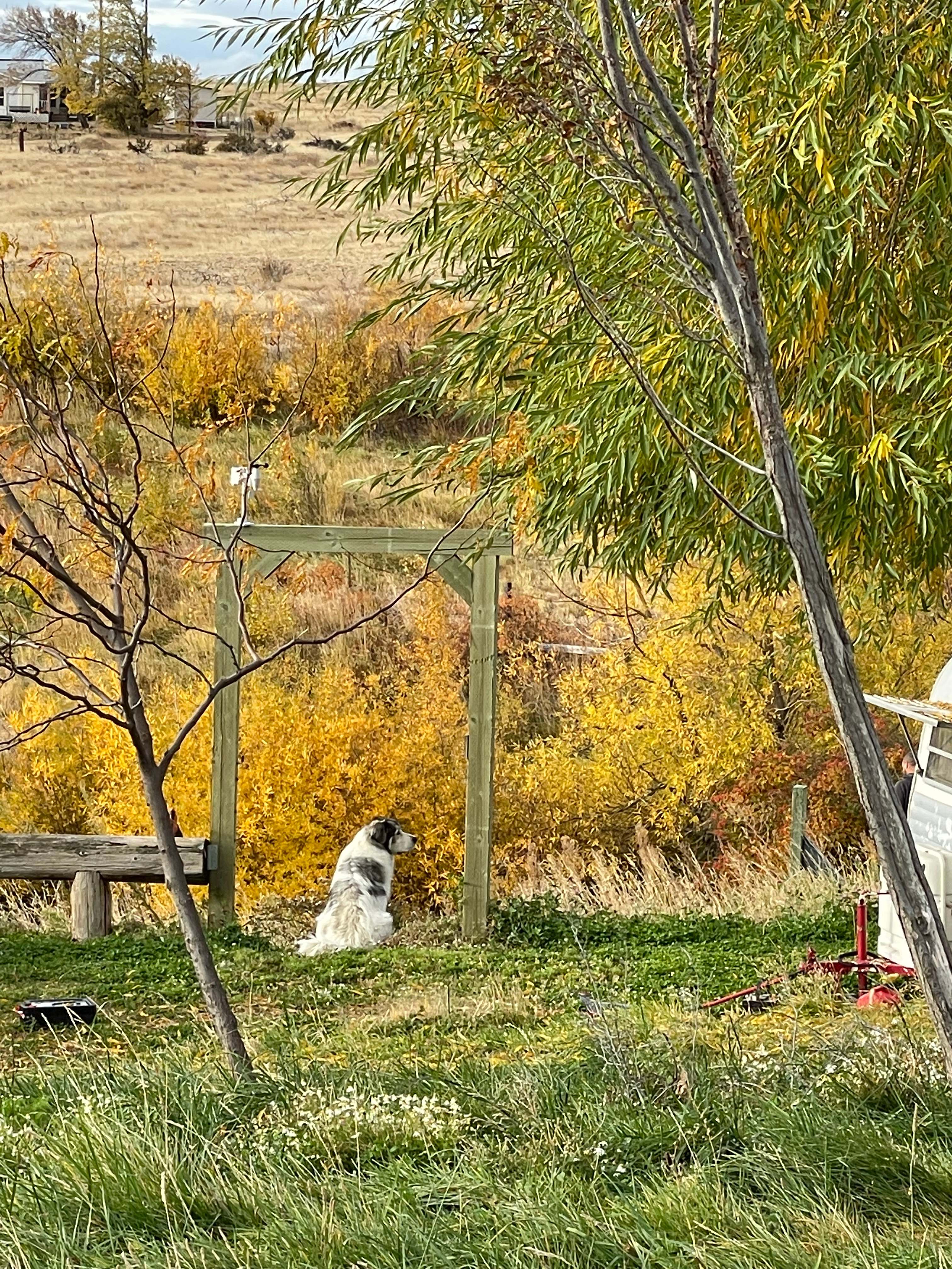 One of the hosts’ assistants , after checking to make sure I was comfortable. :-)