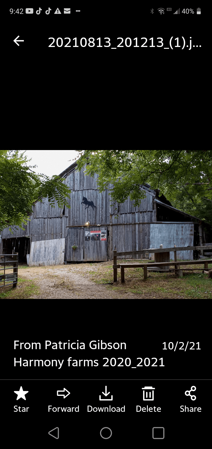Harmony hollow