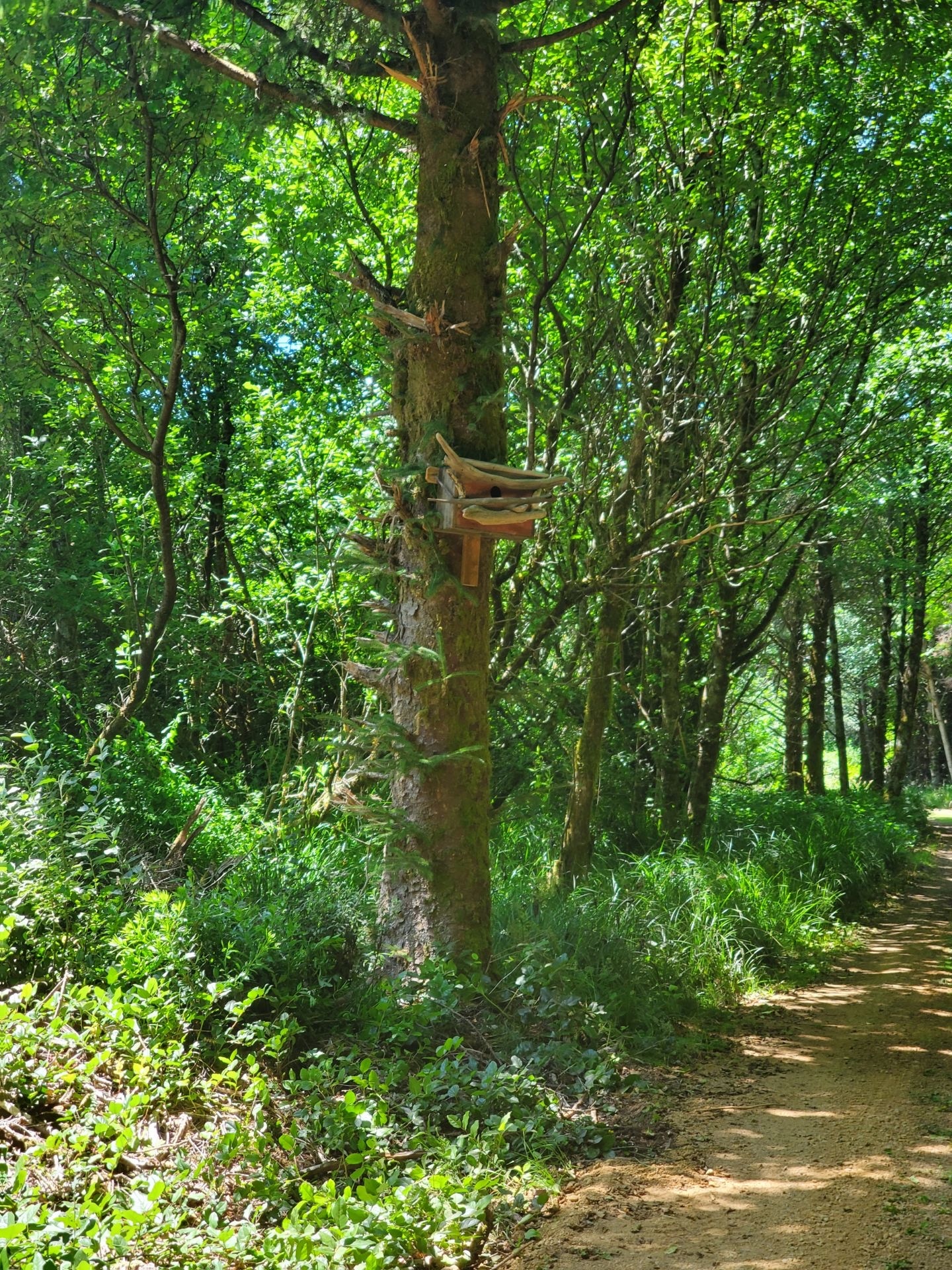 Coastal Family Hideaway