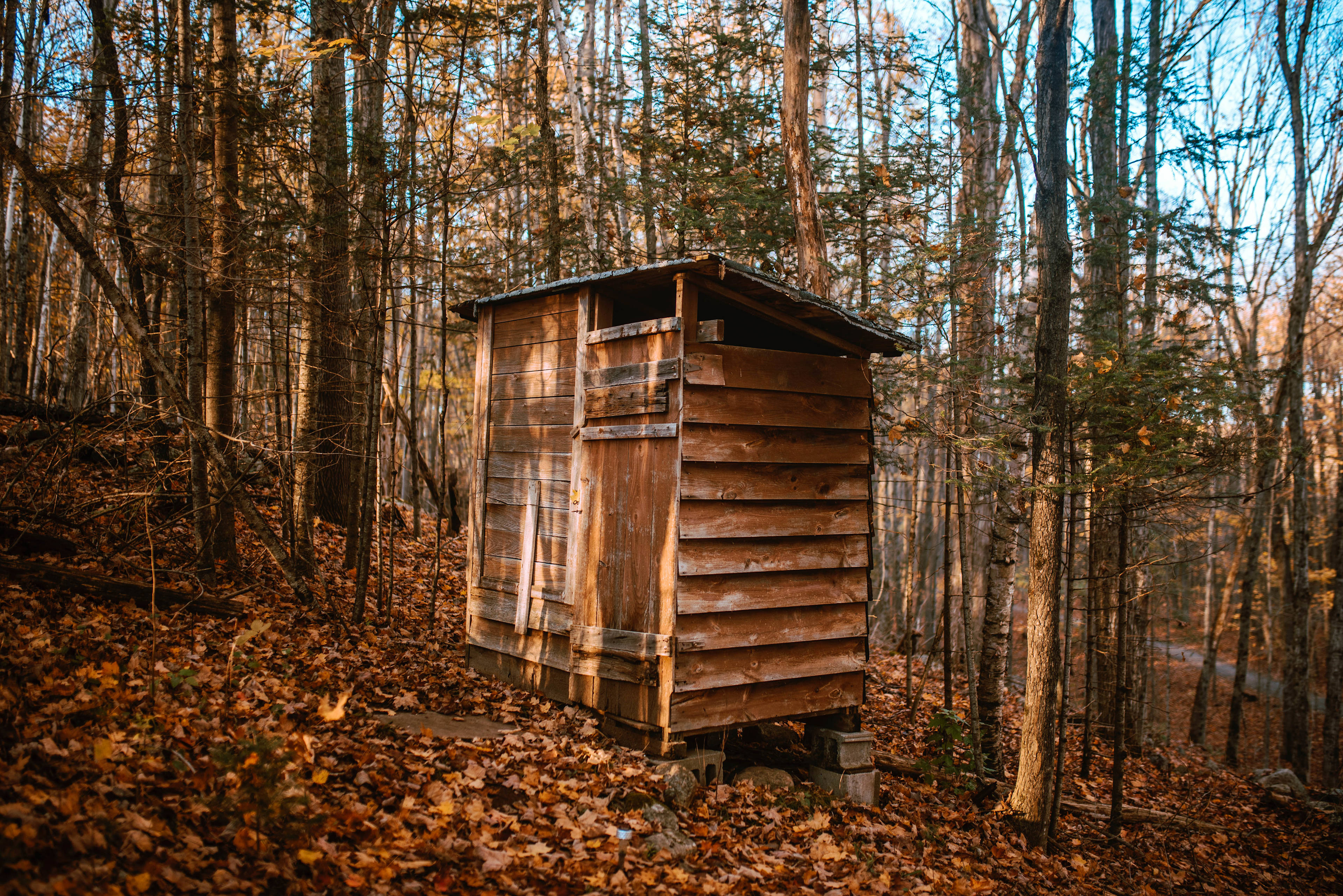 Clean outhouse at a convenient location just outside the cabin
