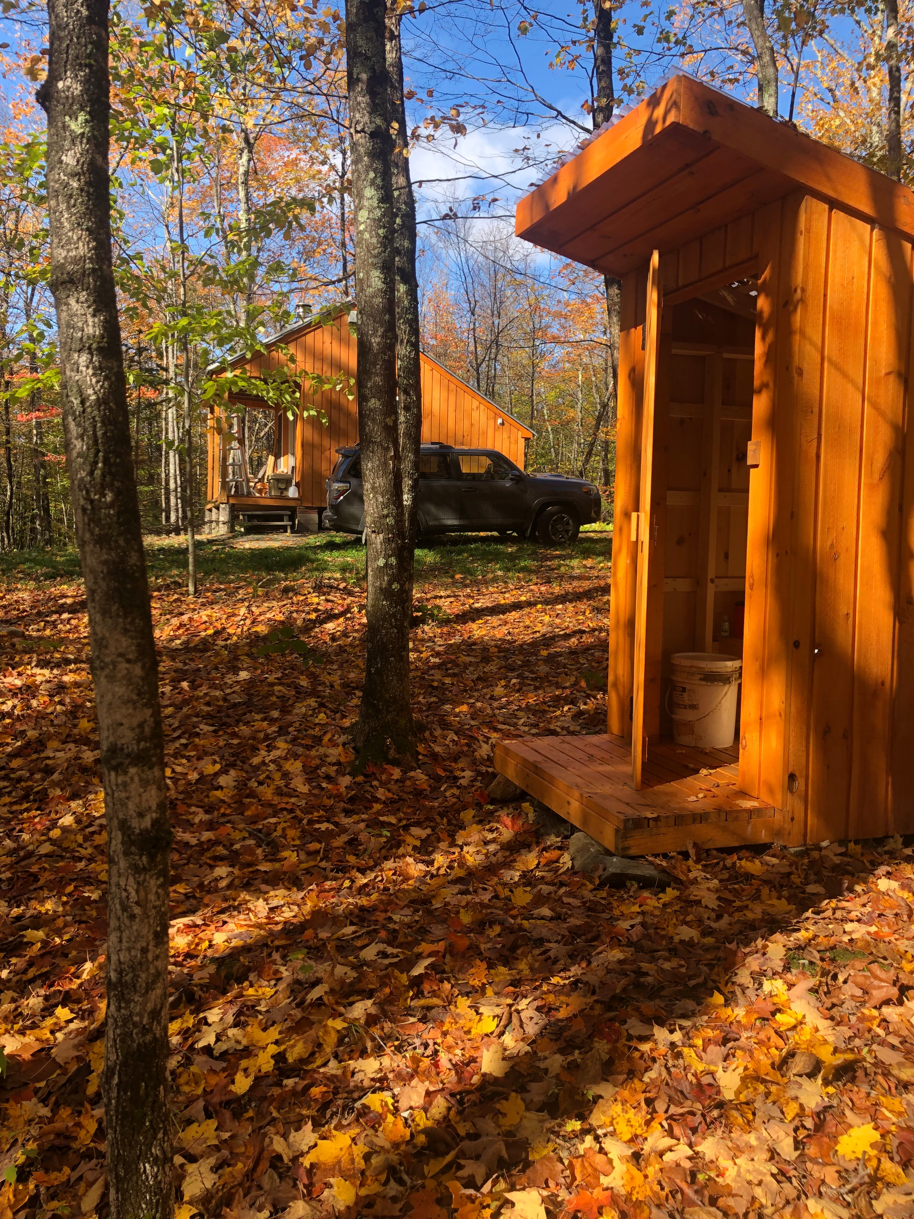 Trees of Life Retreat (ToLR)