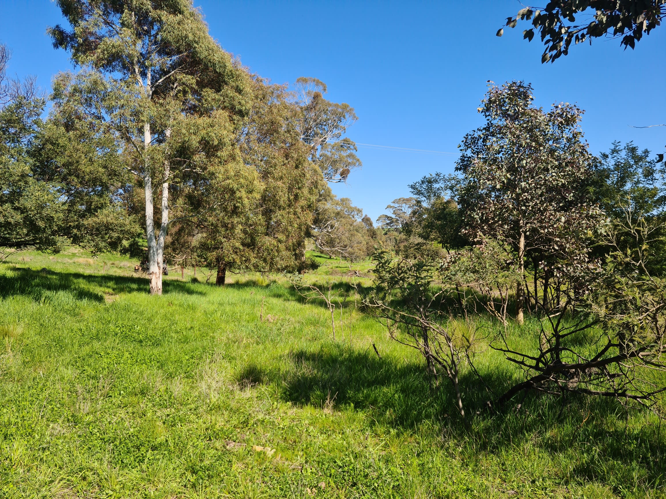 Dairy Park Farm Stay