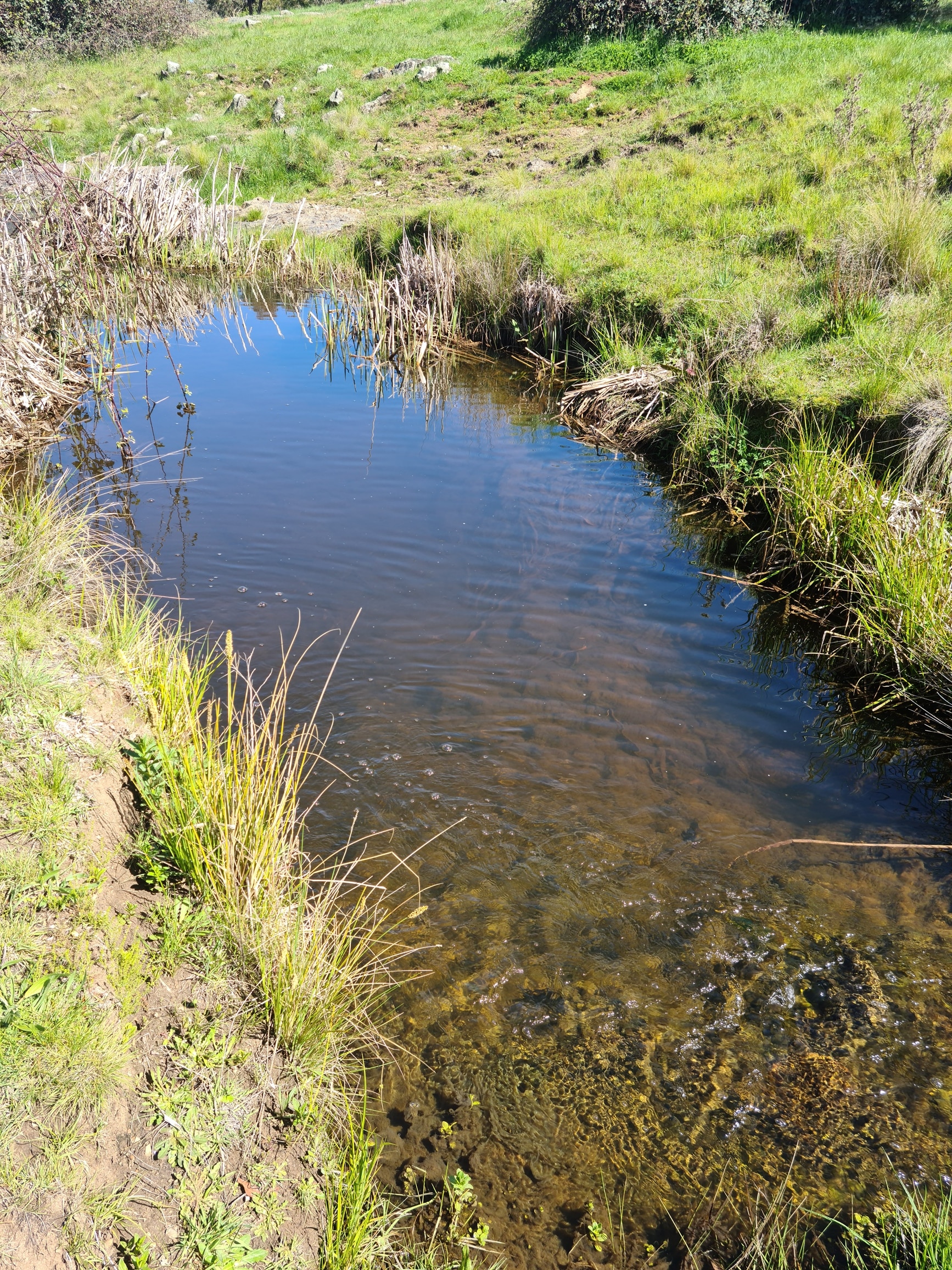 Dairy Park Farm Stay