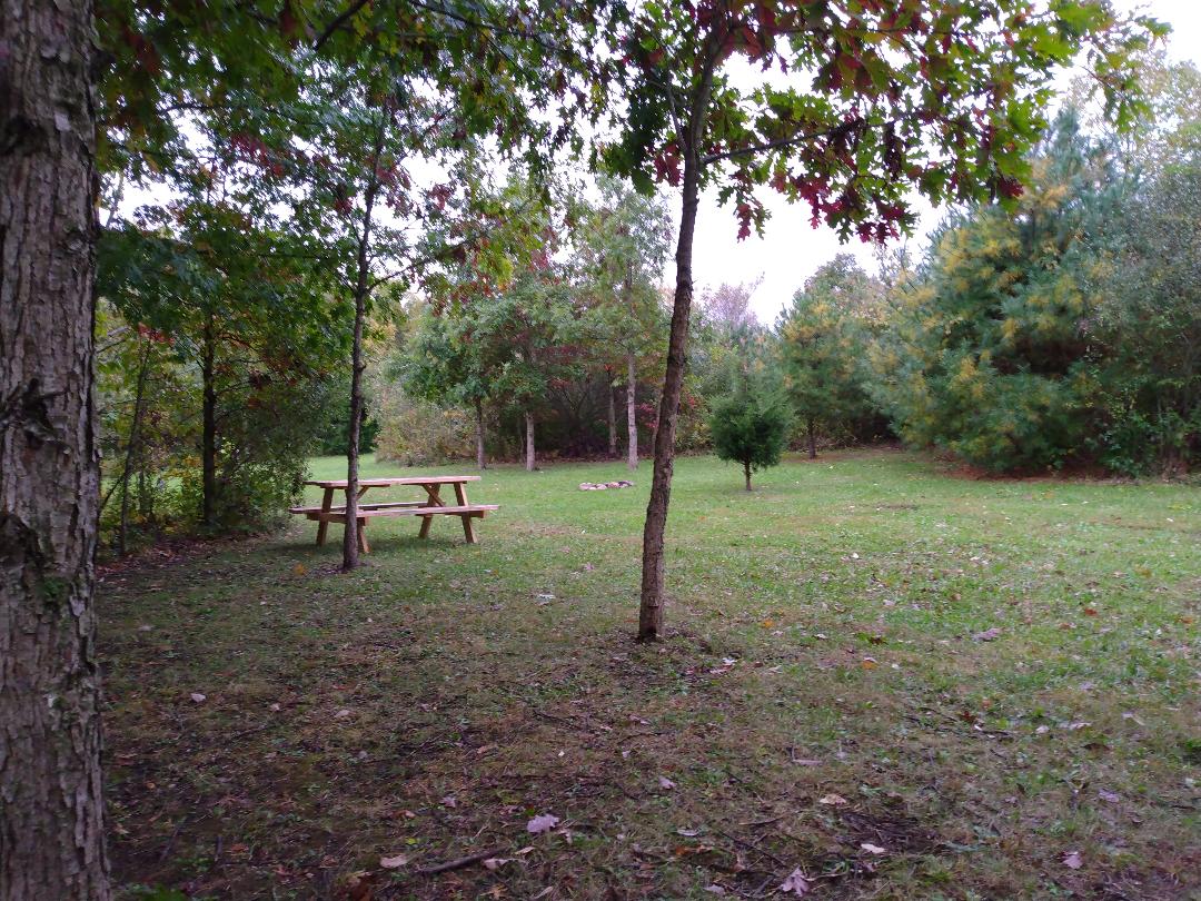 The Meadow