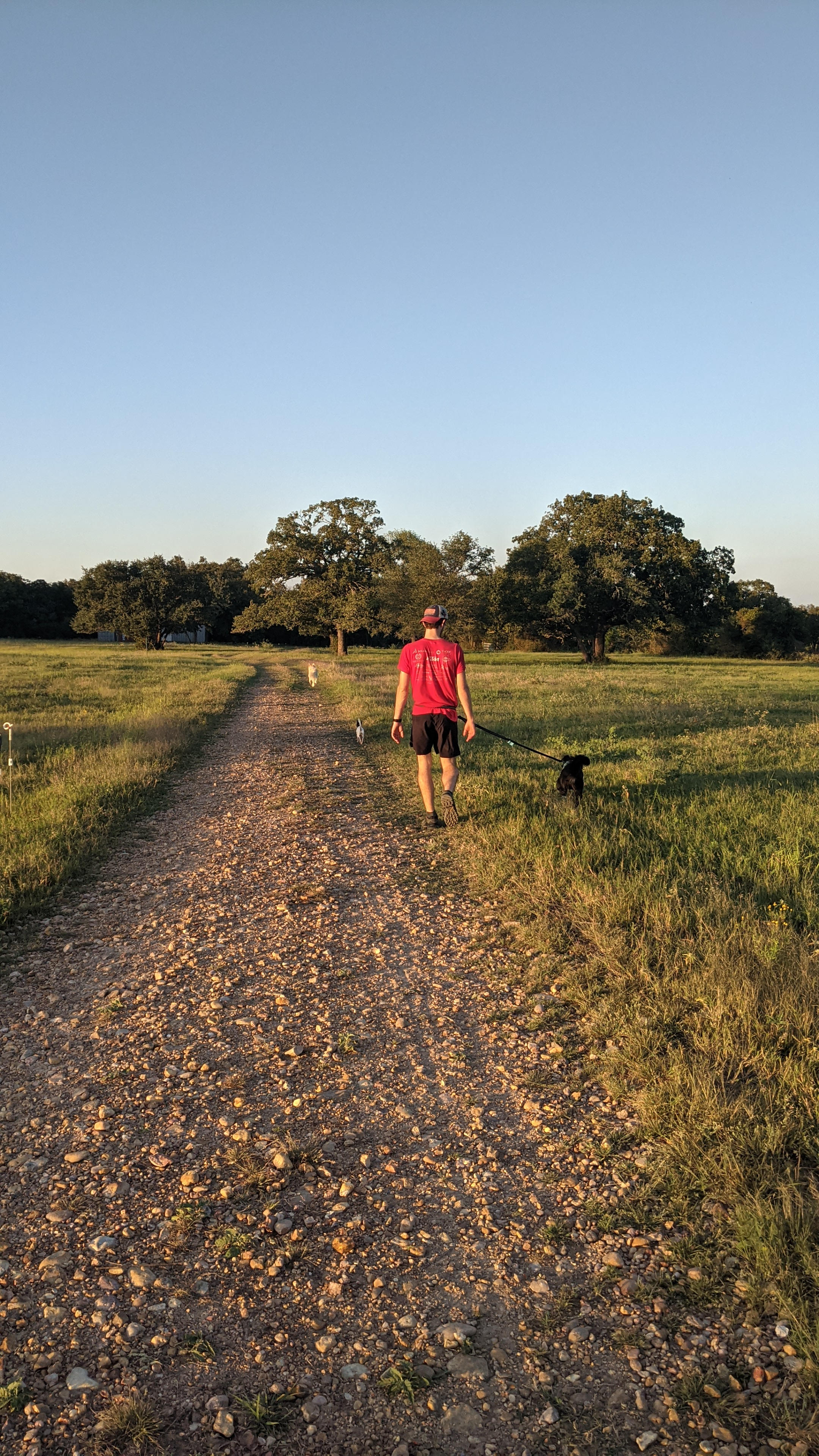 Starlove Ranch & Animal Sanctuary