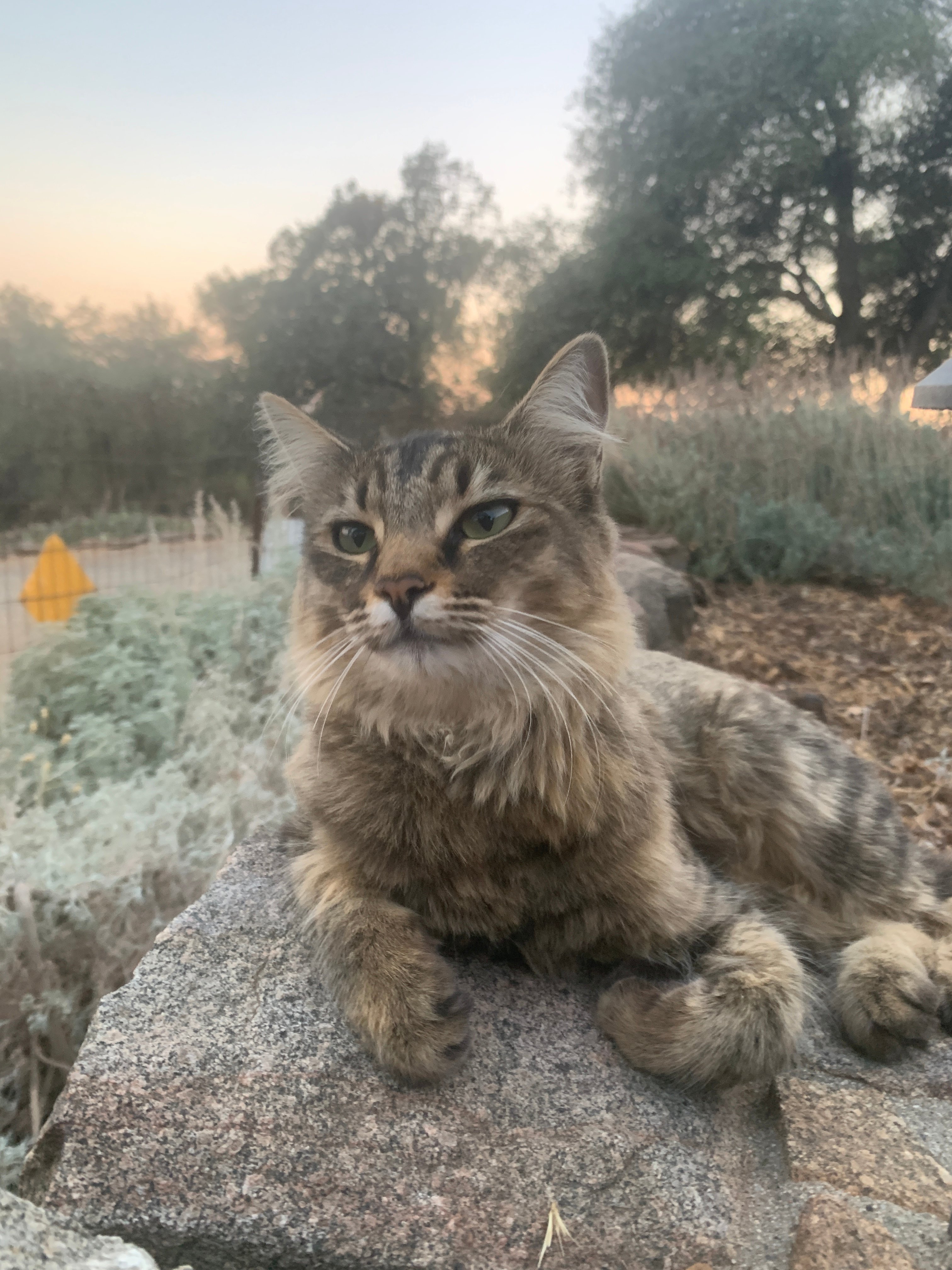 Moichi is my ambassador that everyone loves