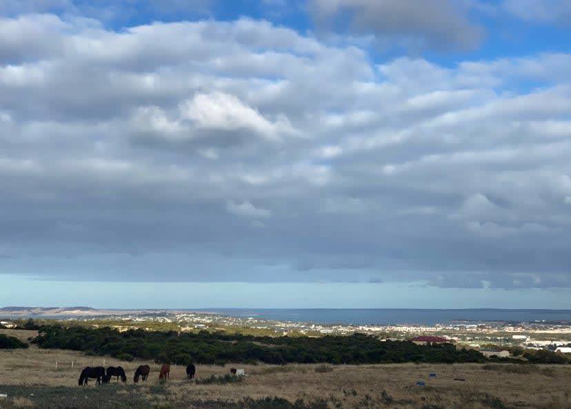 Great Views Farmstay