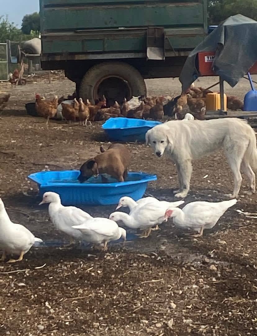 Great Views Farmstay