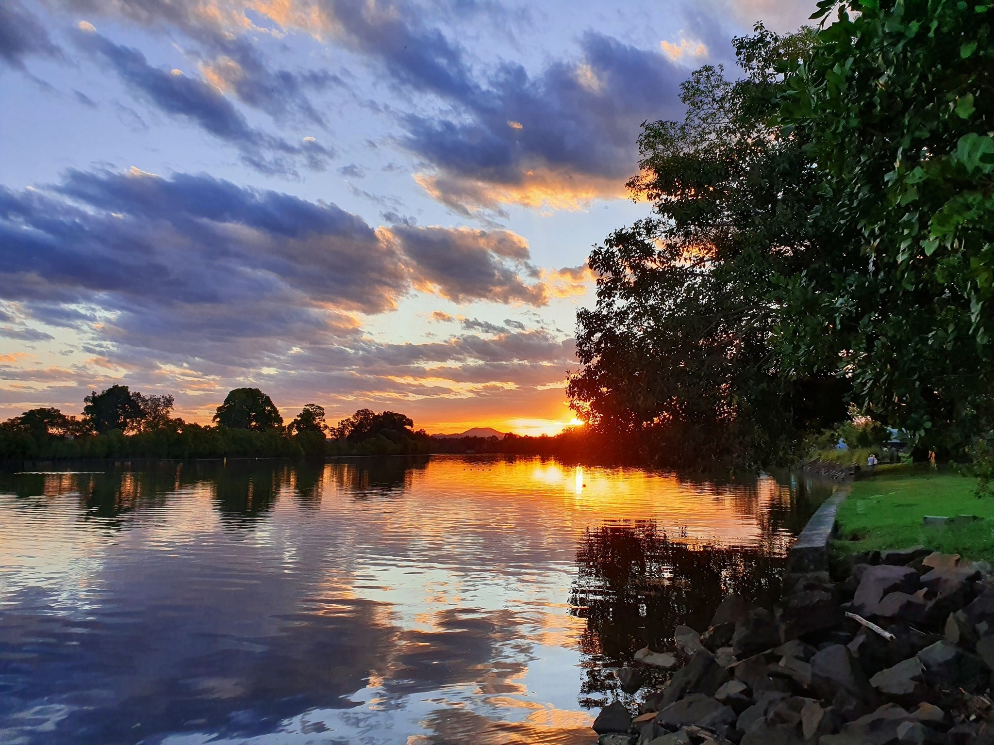 Bellinger River Tourist Park
